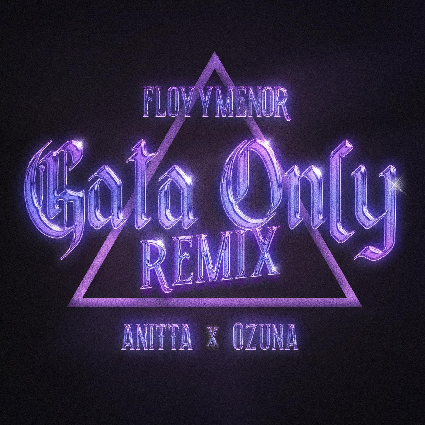 Релиз Gata Only (Remix)