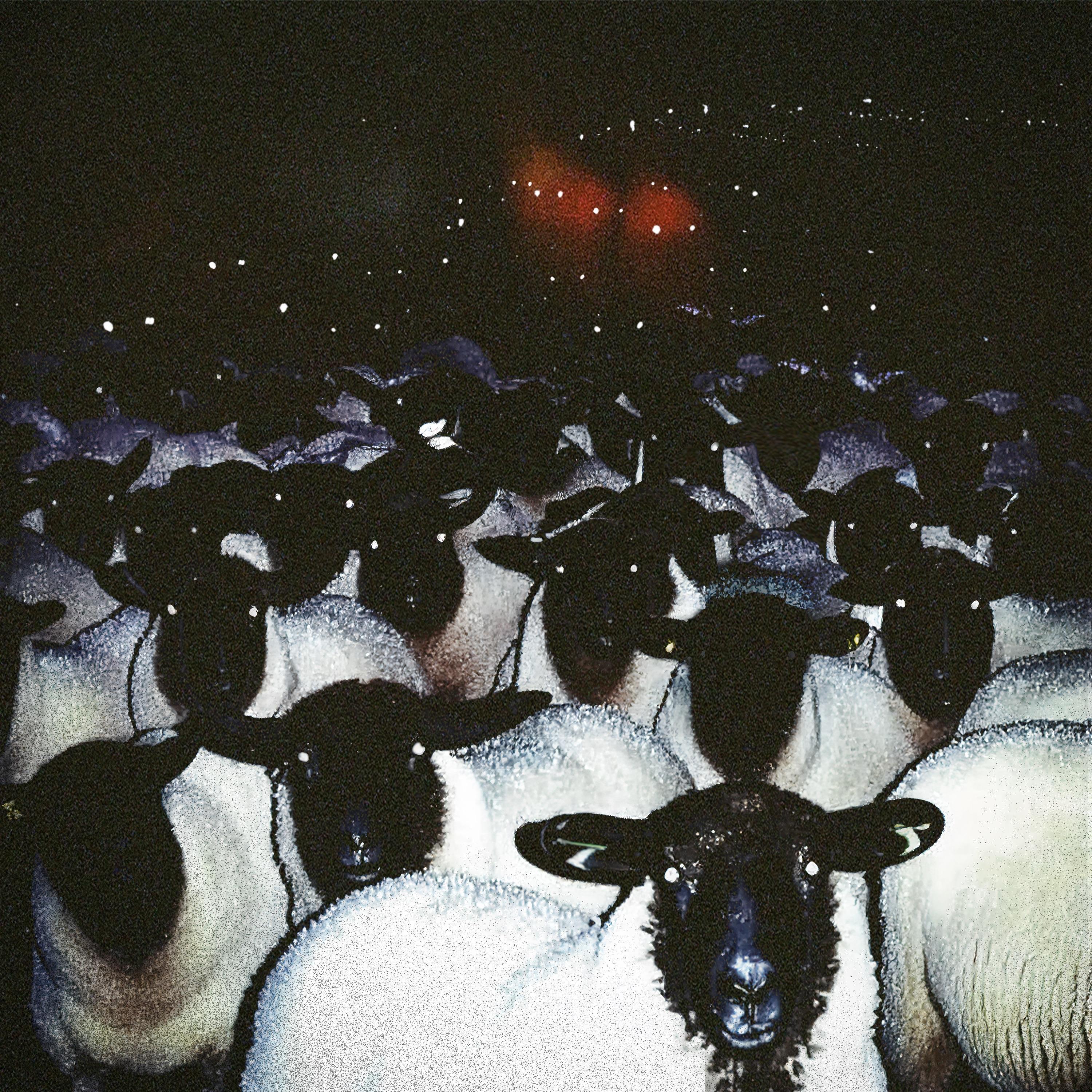 Релиз SILVER_TEETH