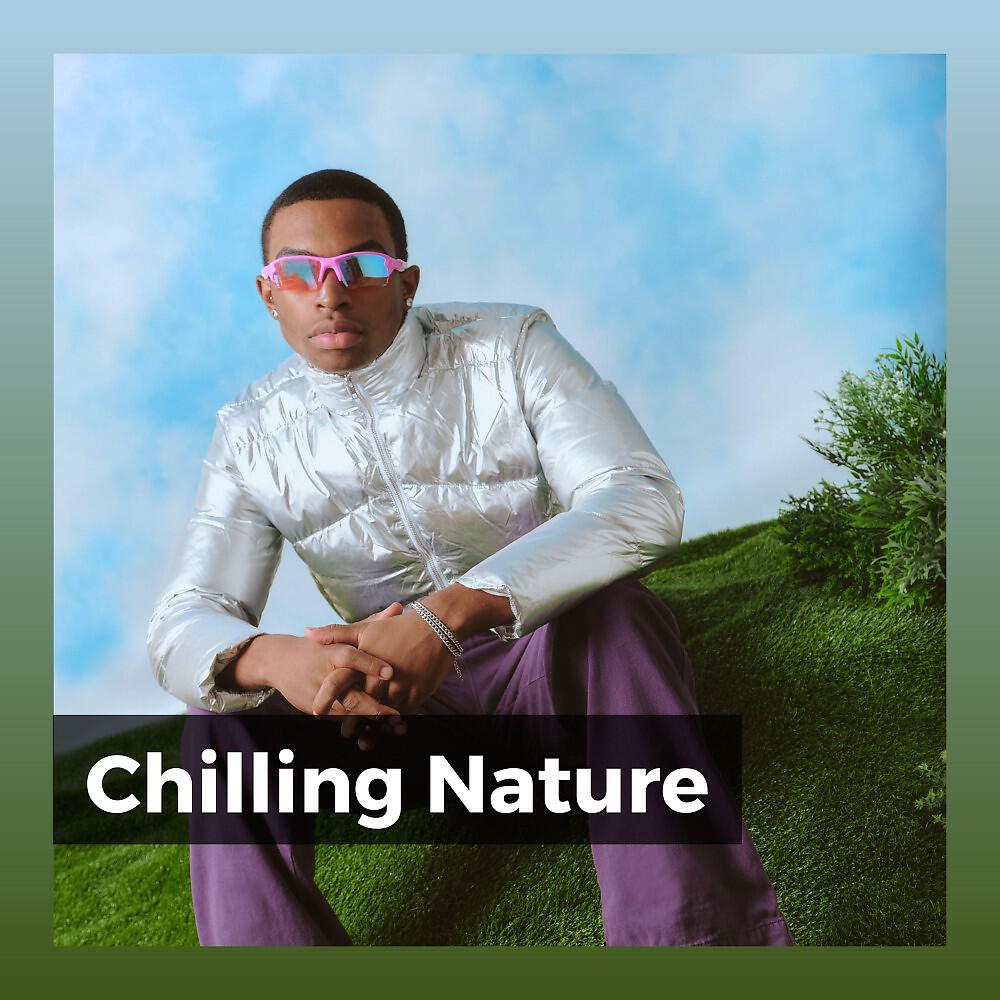 Релиз Chilling Nature