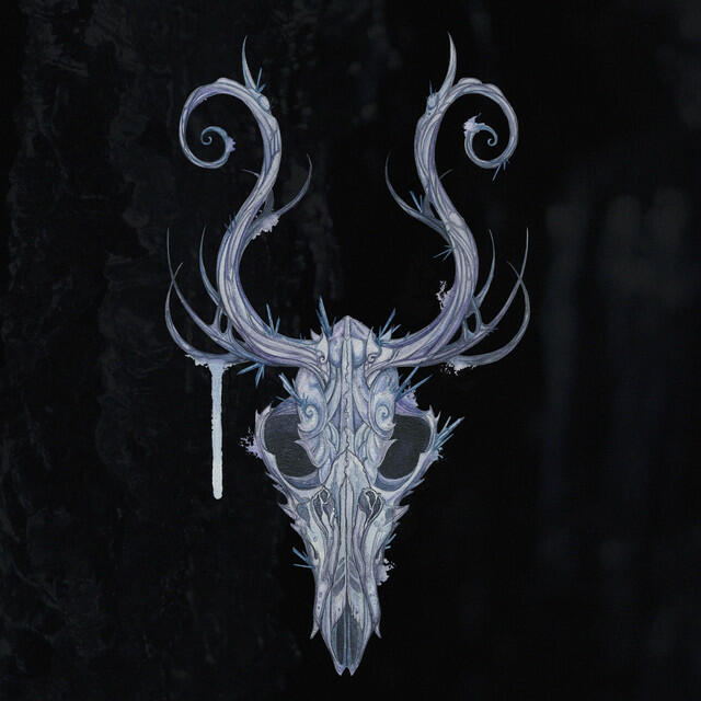 Релиз Dragon