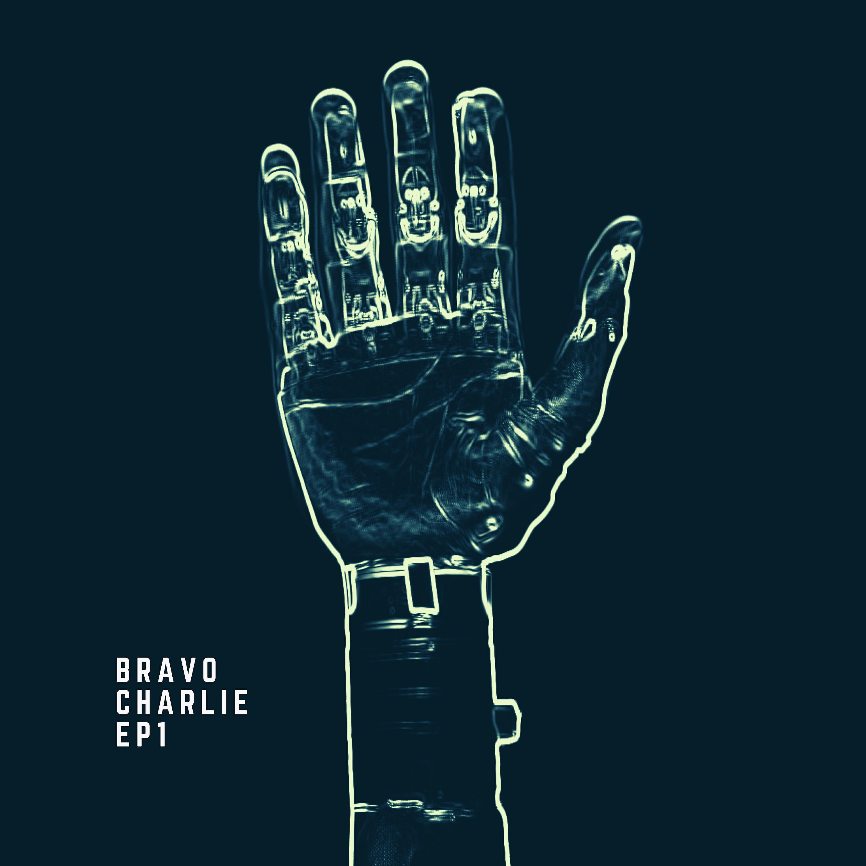 Релиз Bravo Charlie Ep1