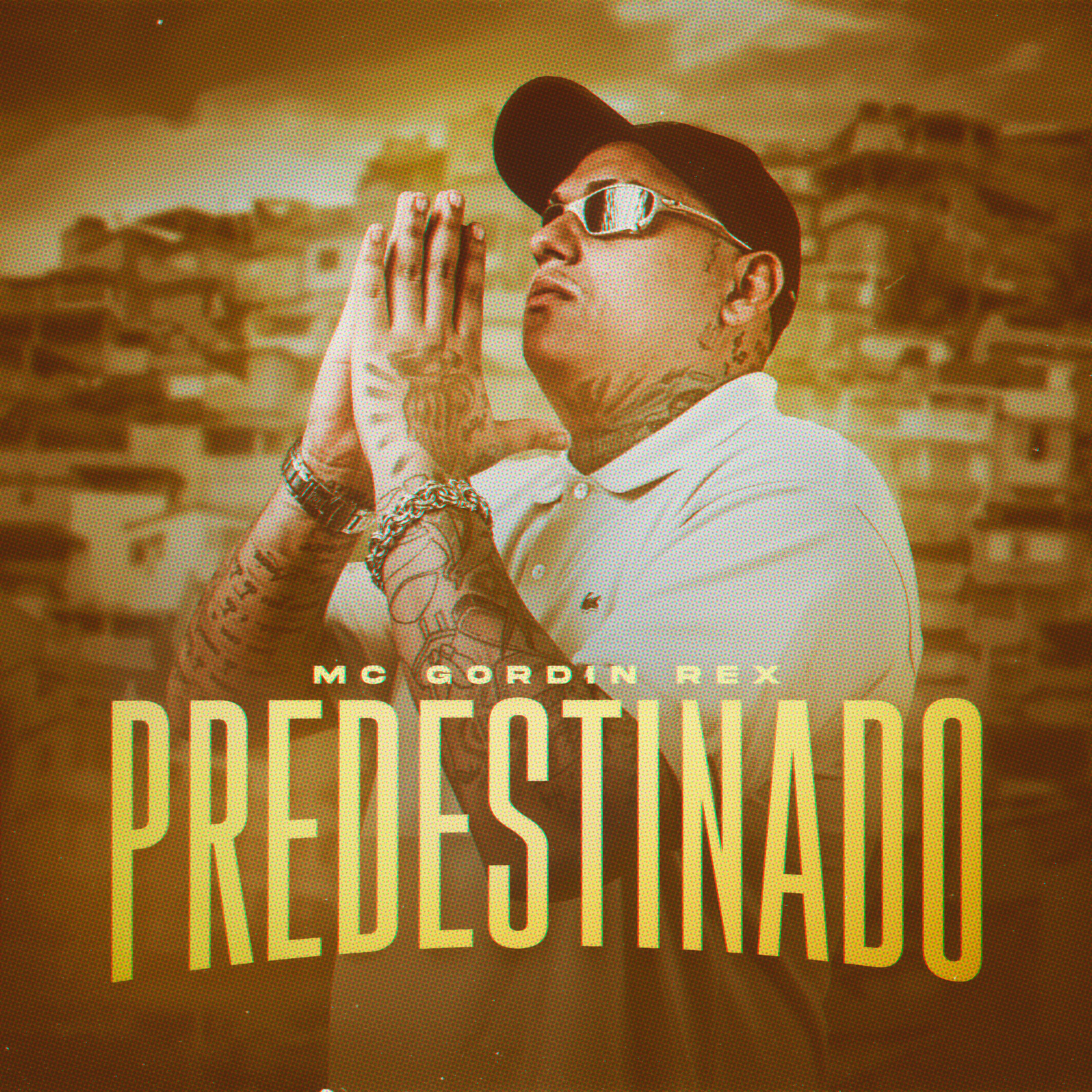 Релиз Predestinado