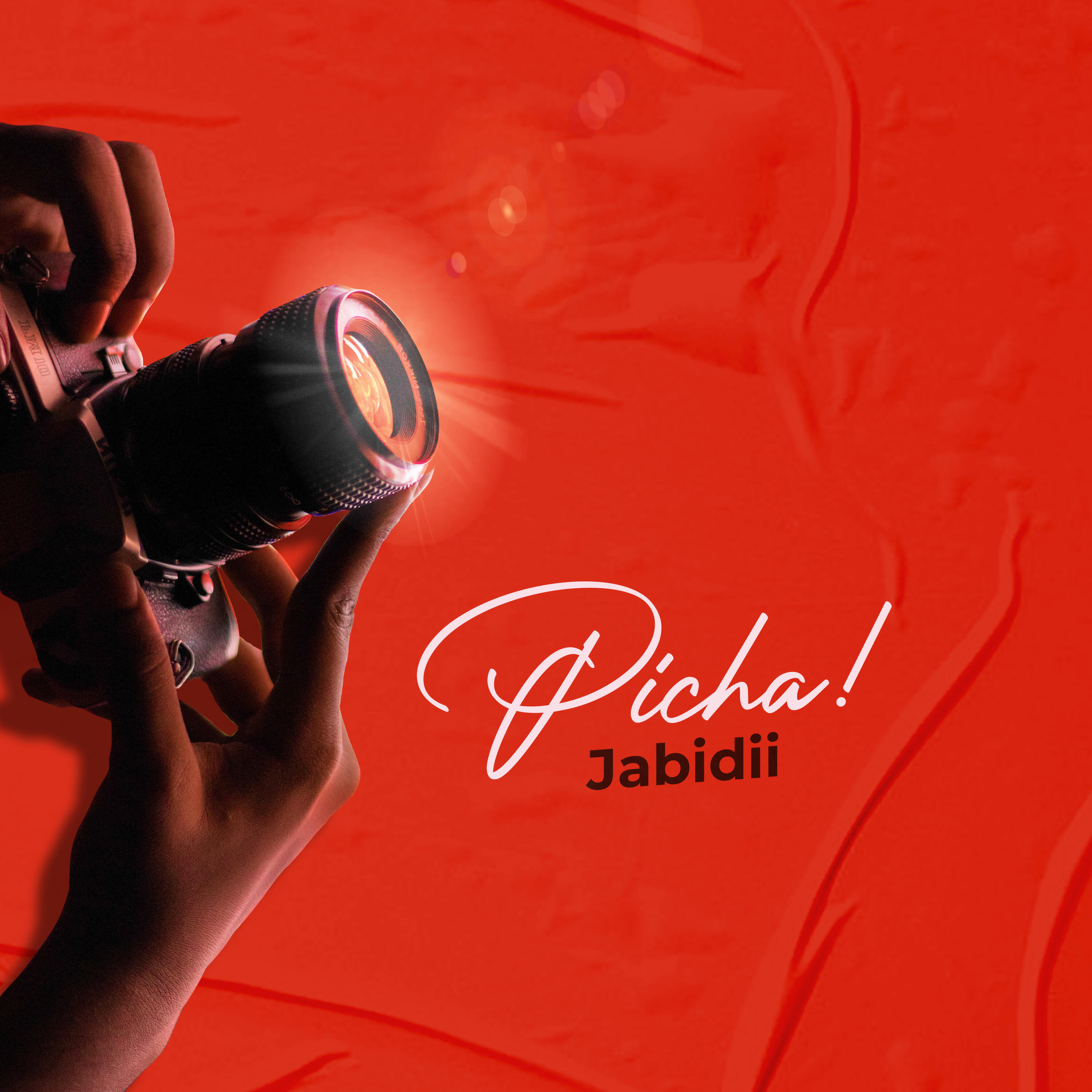 Релиз Picha