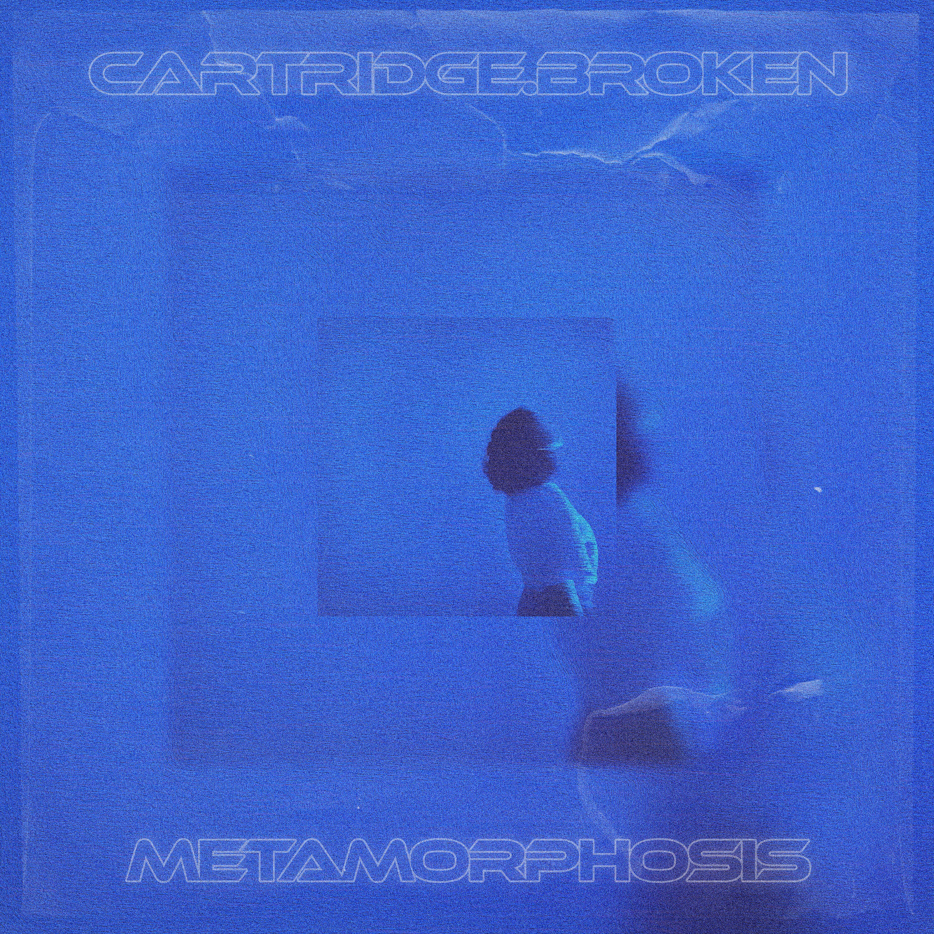 Релиз metamorphosis