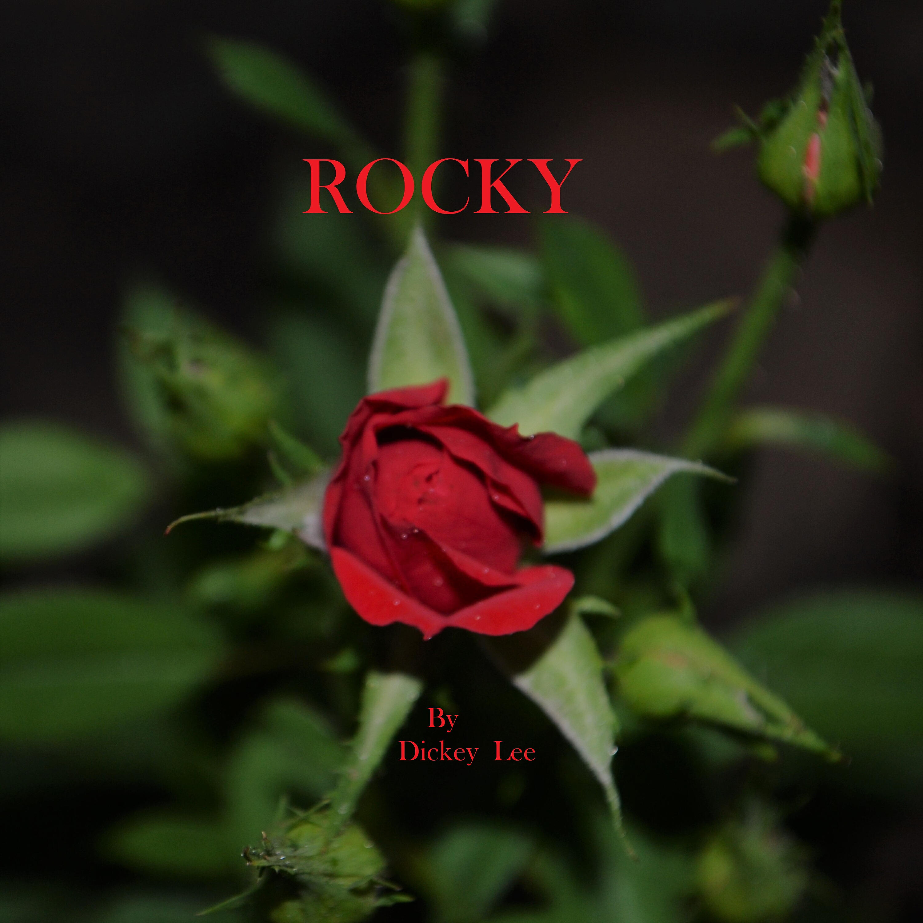 Релиз Rocky (Radio Edit)