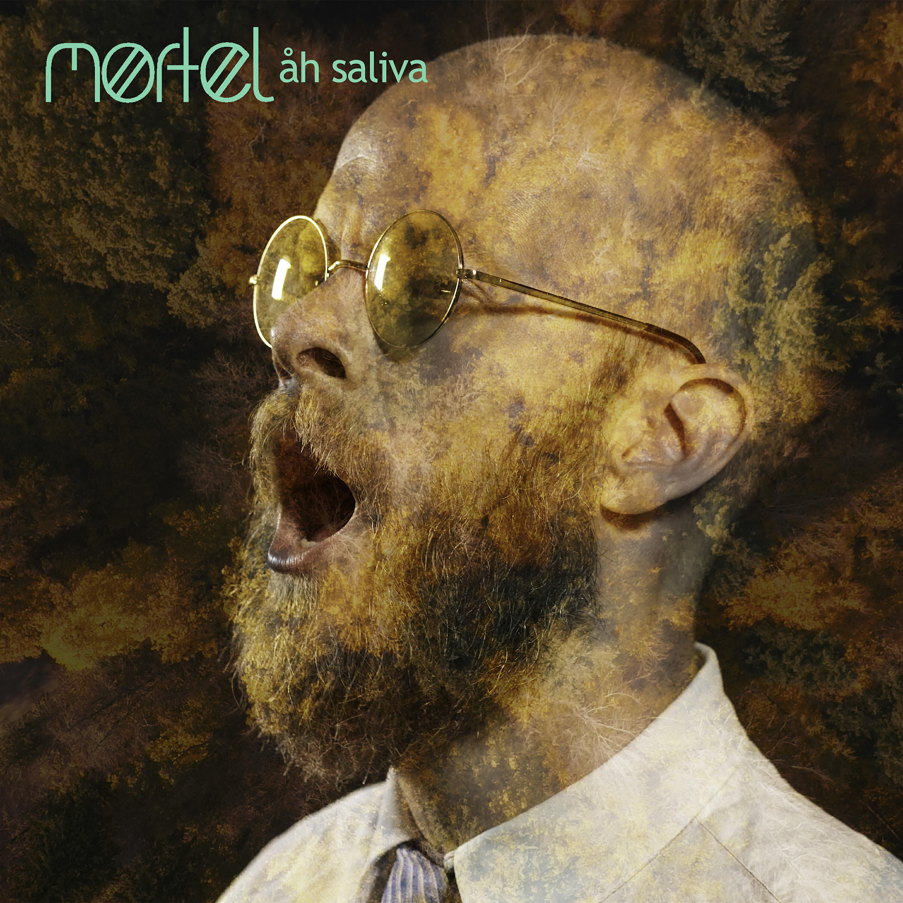 Релиз Åh saliva