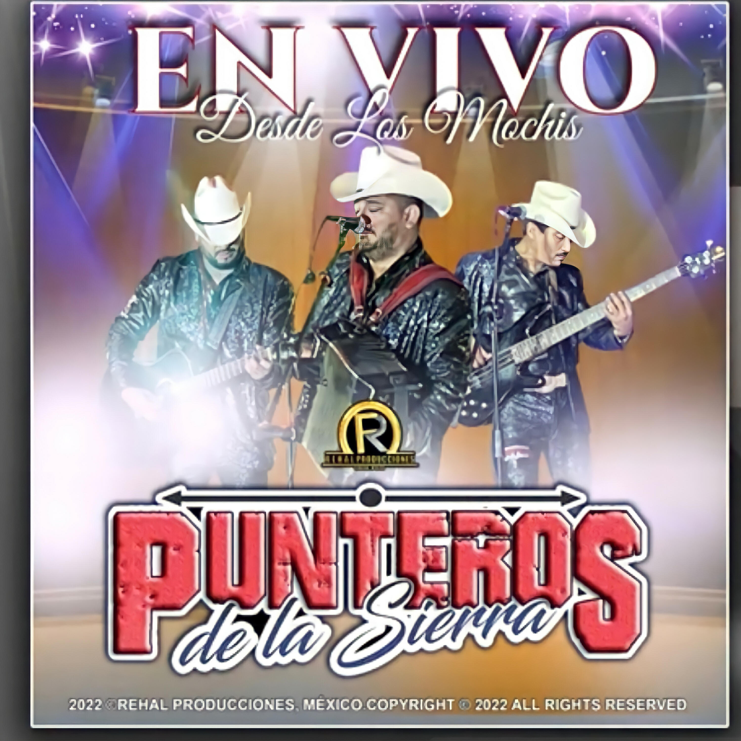 Punteros De La Sierra