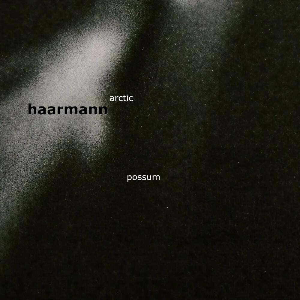 Haarmann