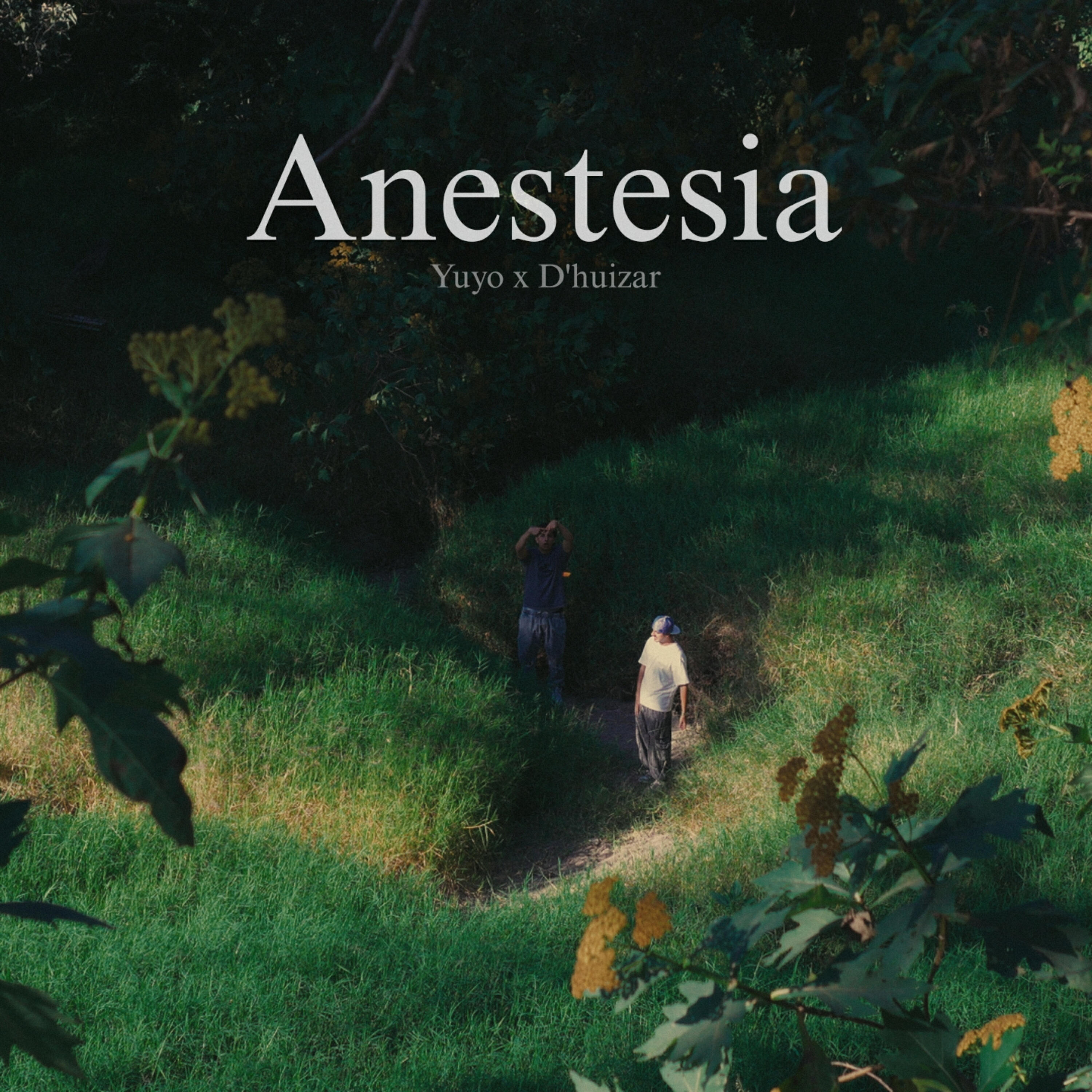 Постер альбома Anestesia