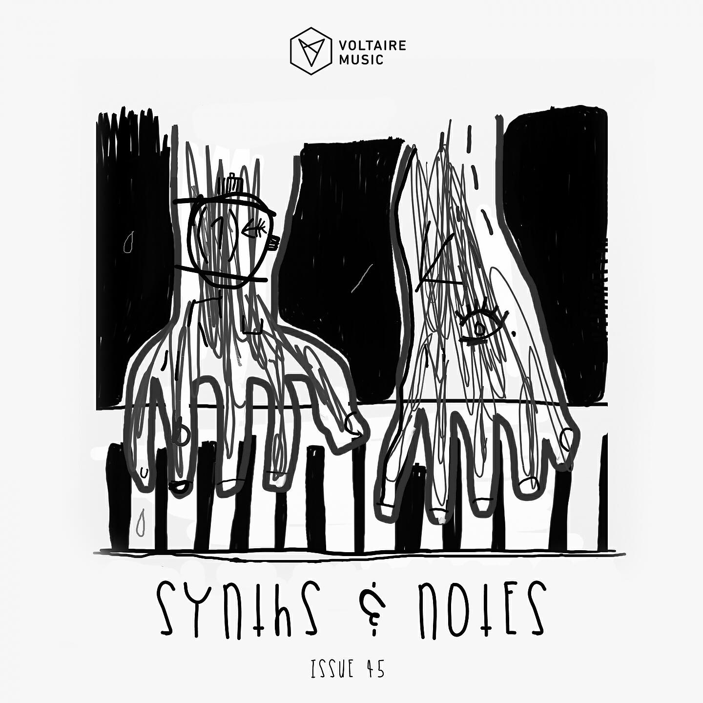 Релиз Synths and Notes 45