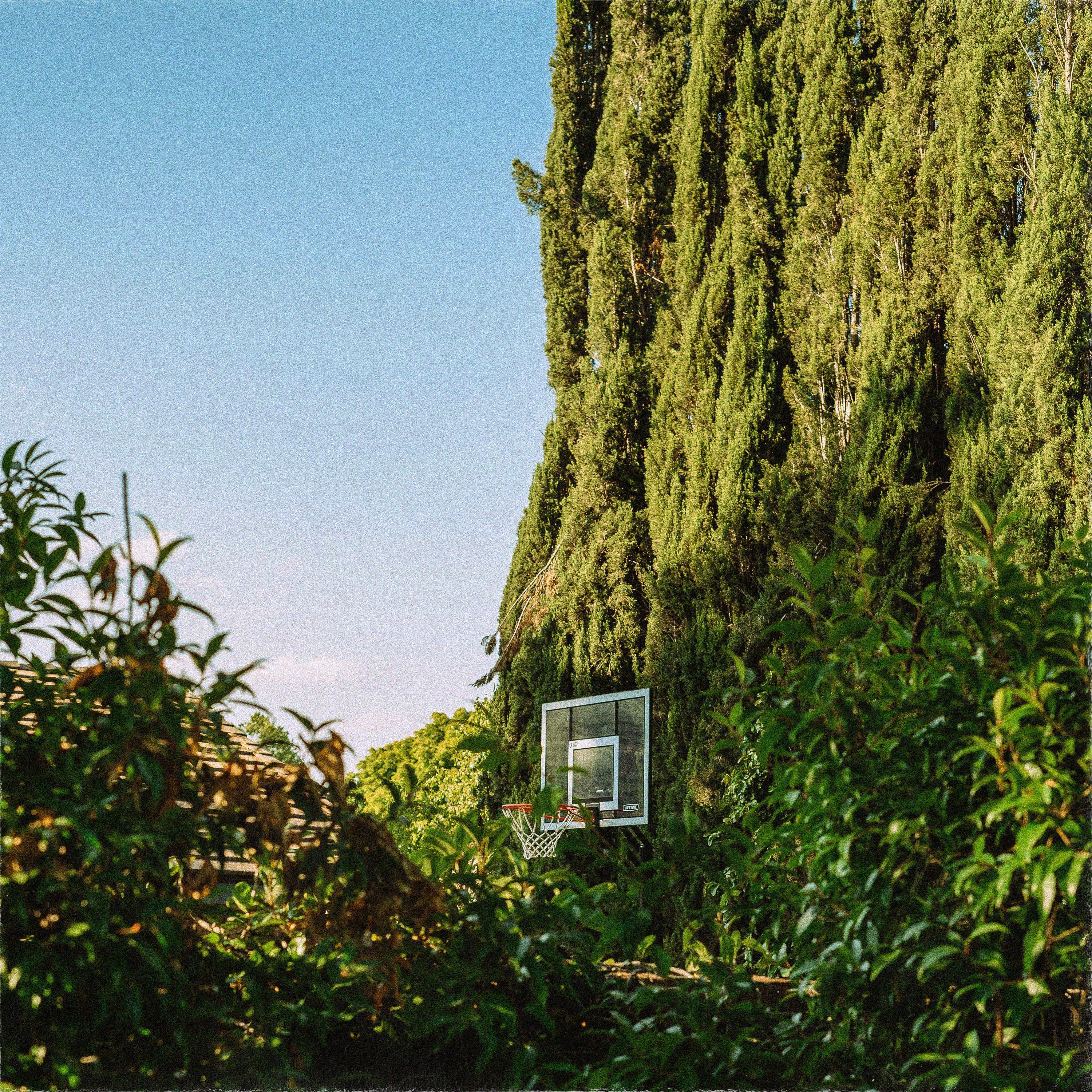 Релиз courtside