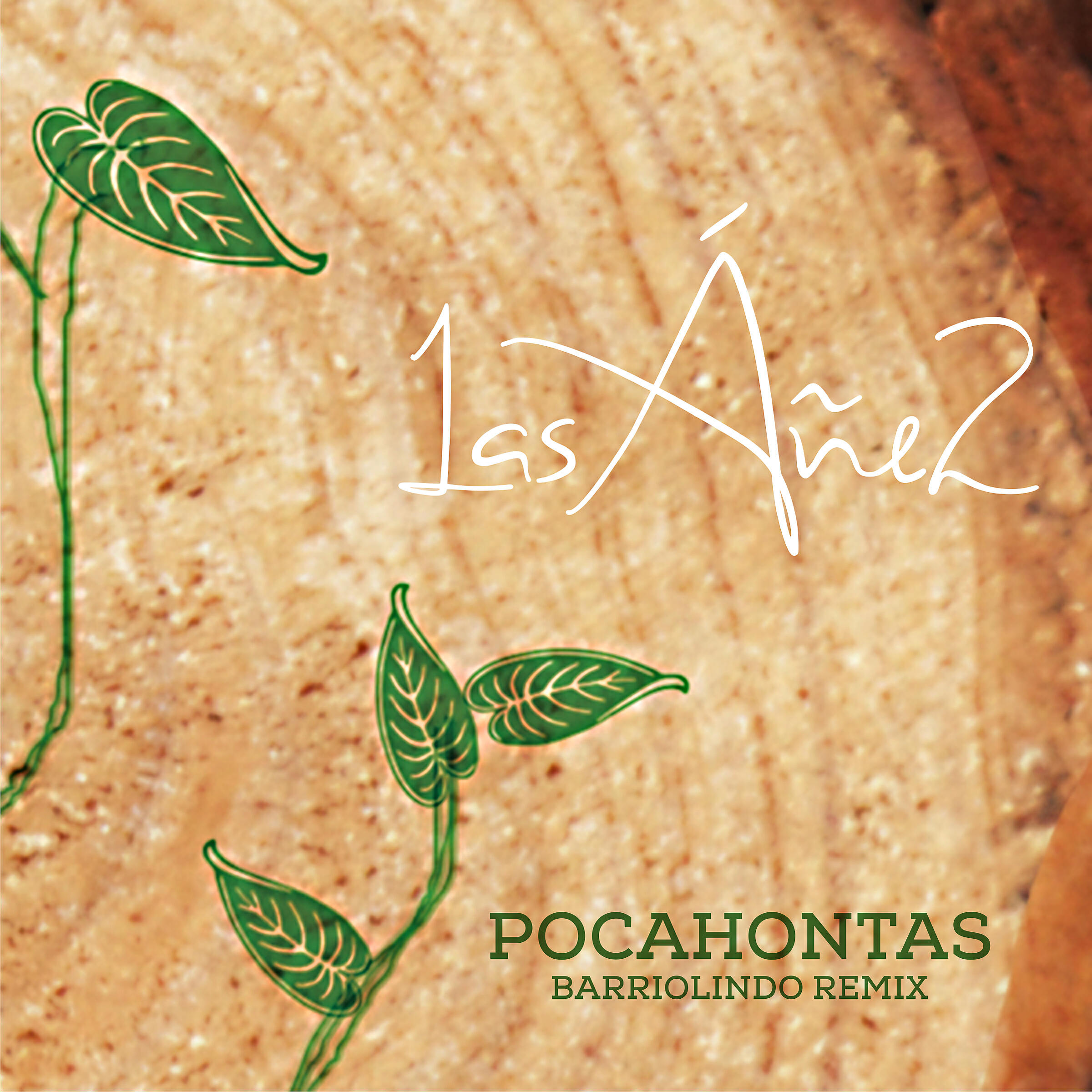 Релиз Pocahontas (Barrio Lindo Remix)