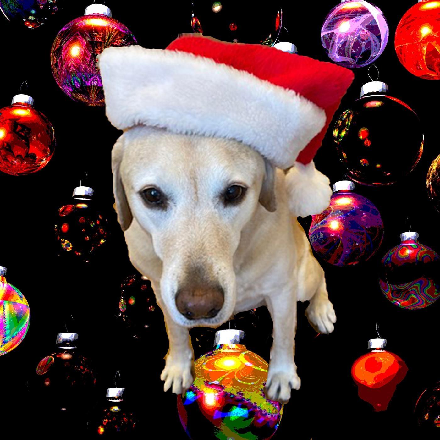 Релиз O Holy Night