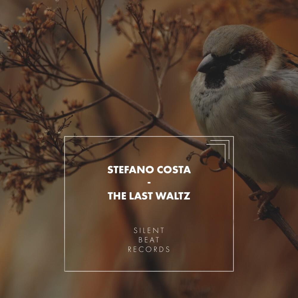 Релиз The Last Waltz