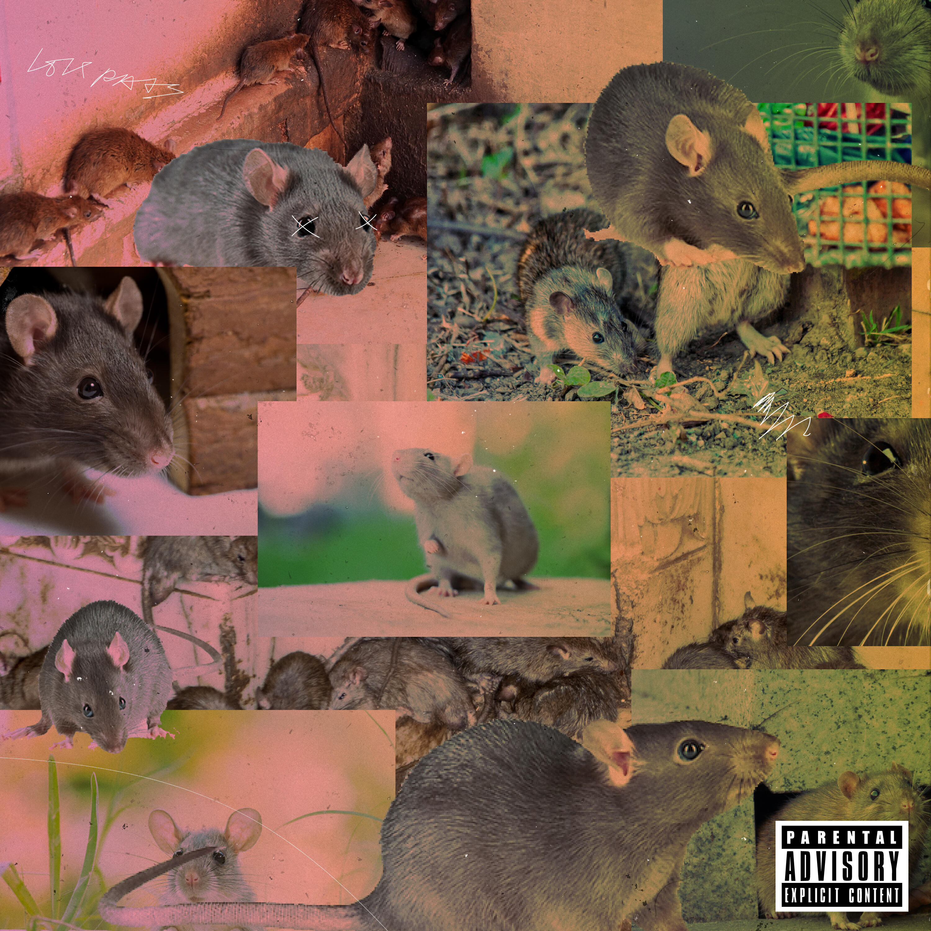 Релиз 10 Thousand Rats