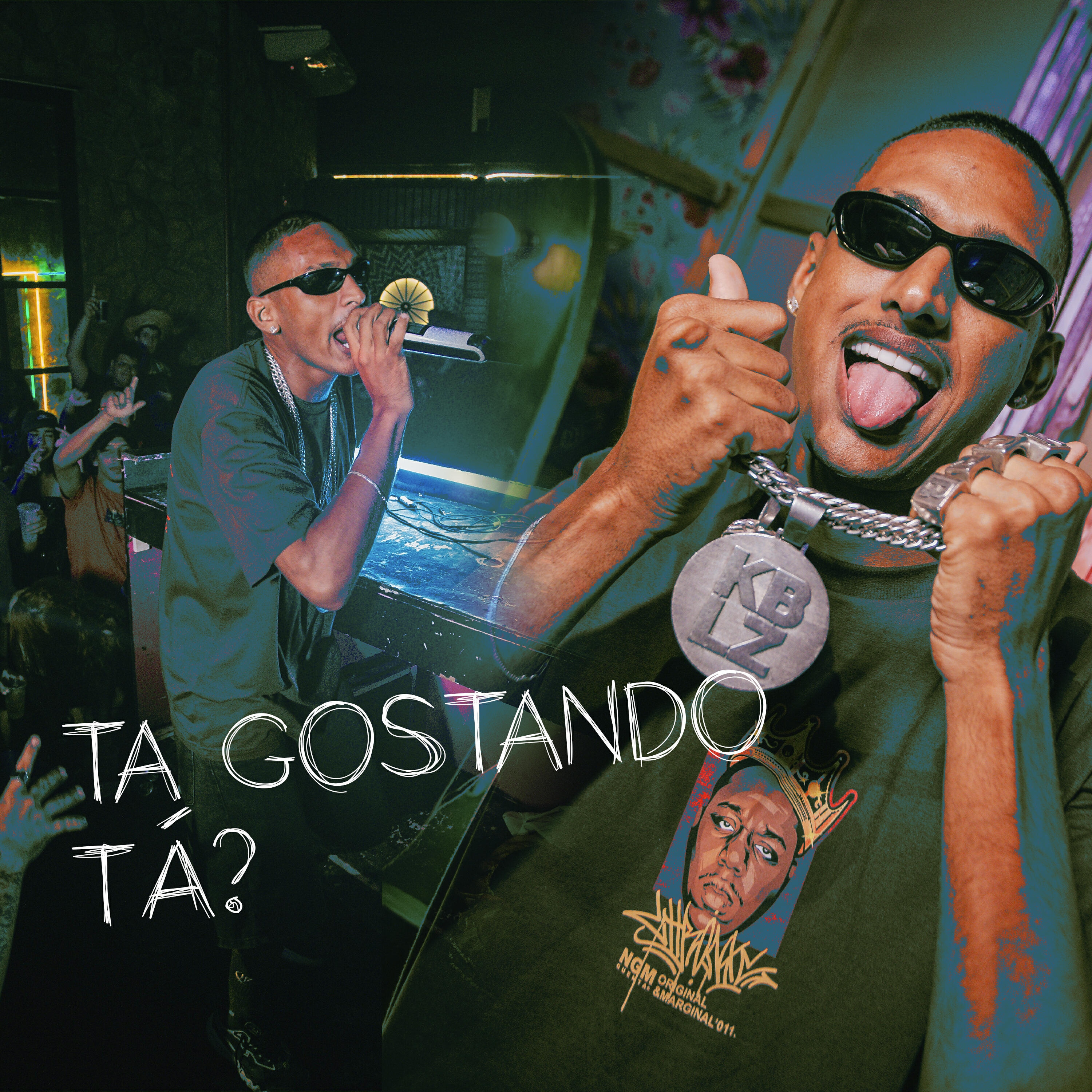 Постер альбома Tá Gostando Tá ?