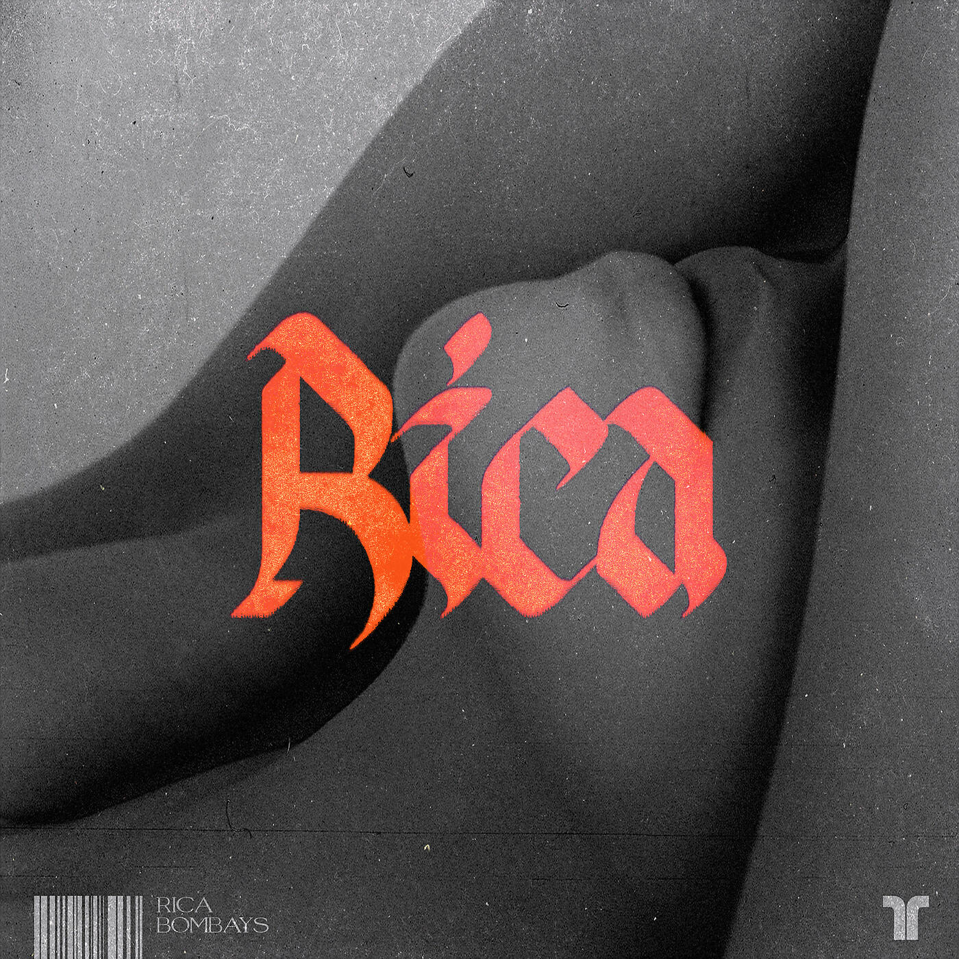 Релиз RICA