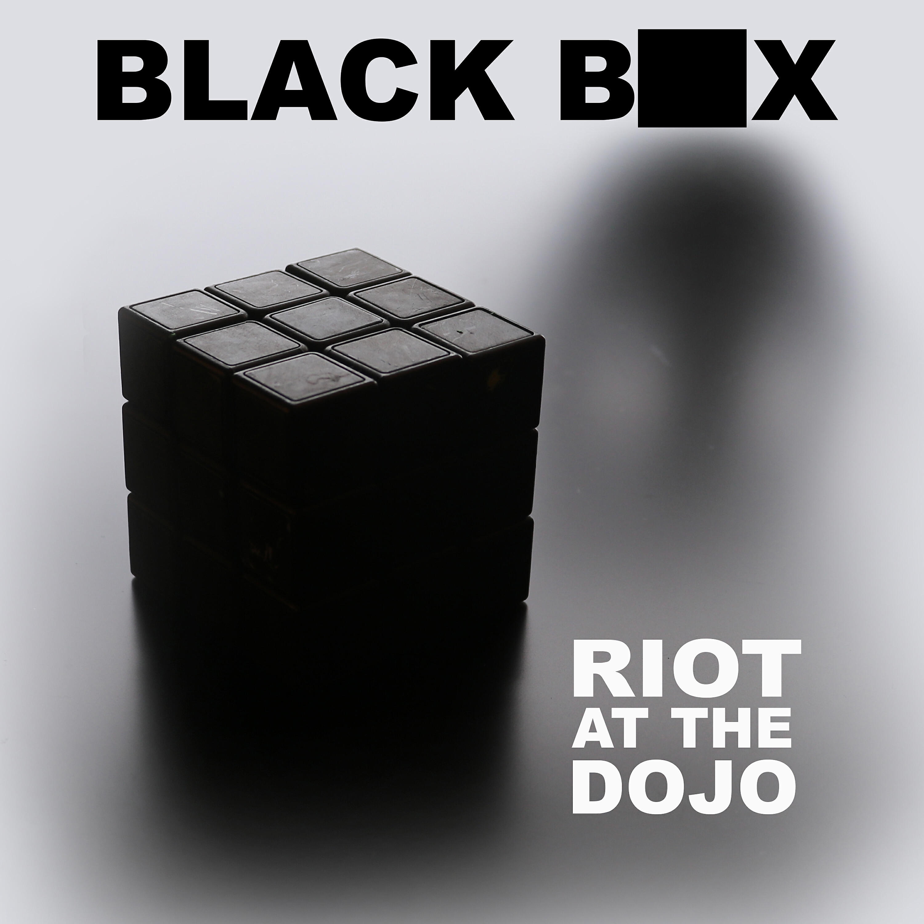Riot at the Dojo