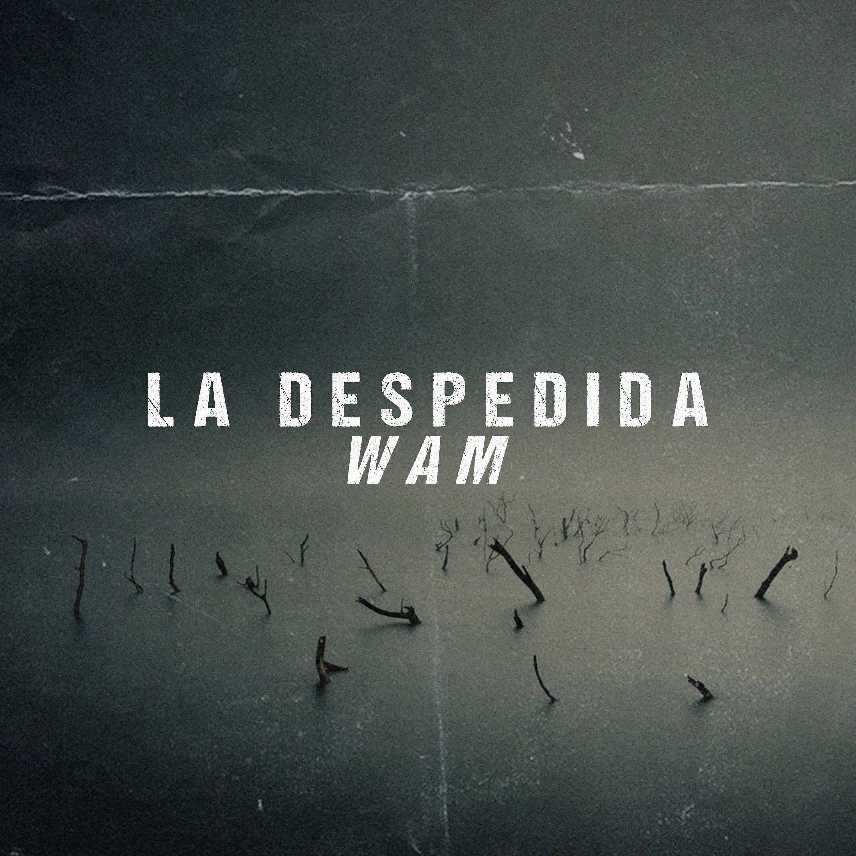 Релиз La Despedida