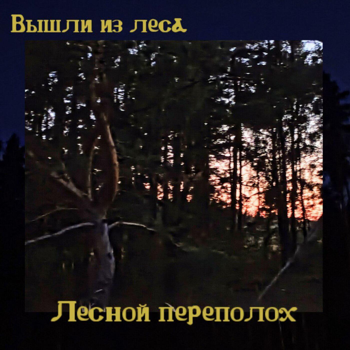 Релиз Лесной переполох
