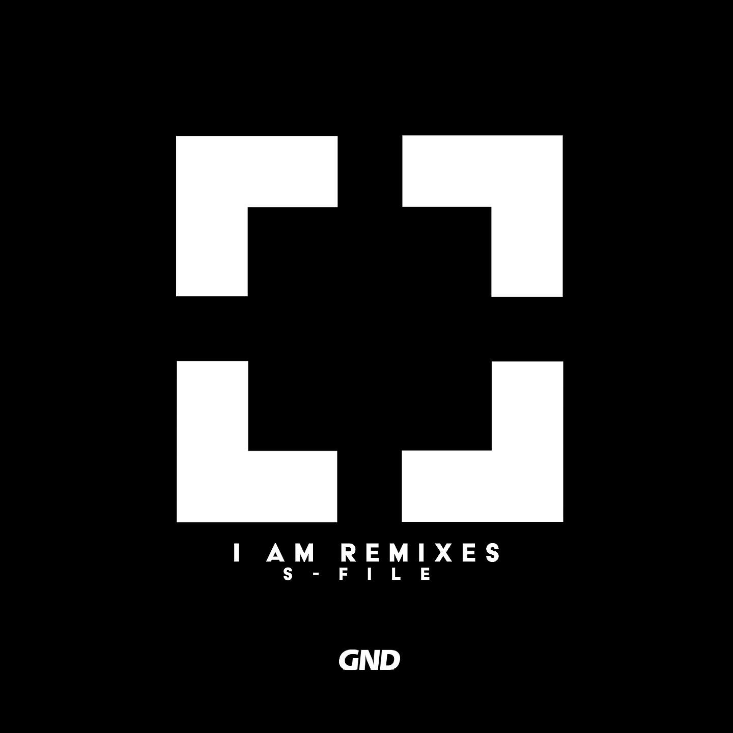 Релиз I Am Remixes