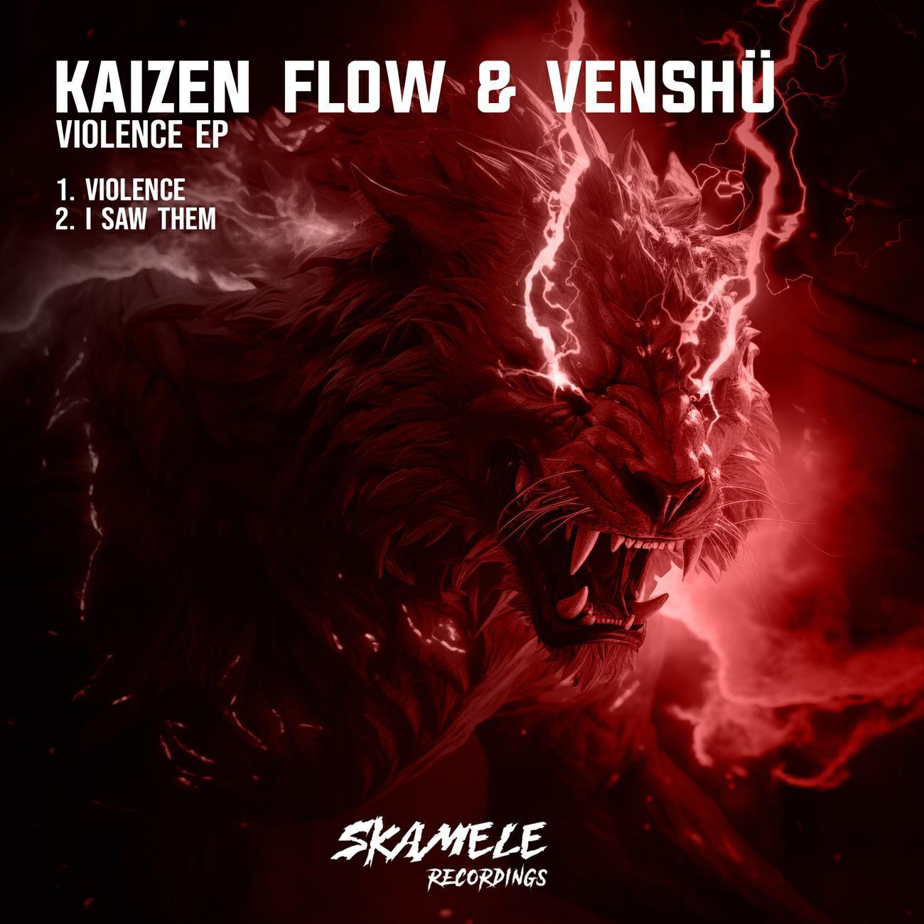 Kaizen Flow