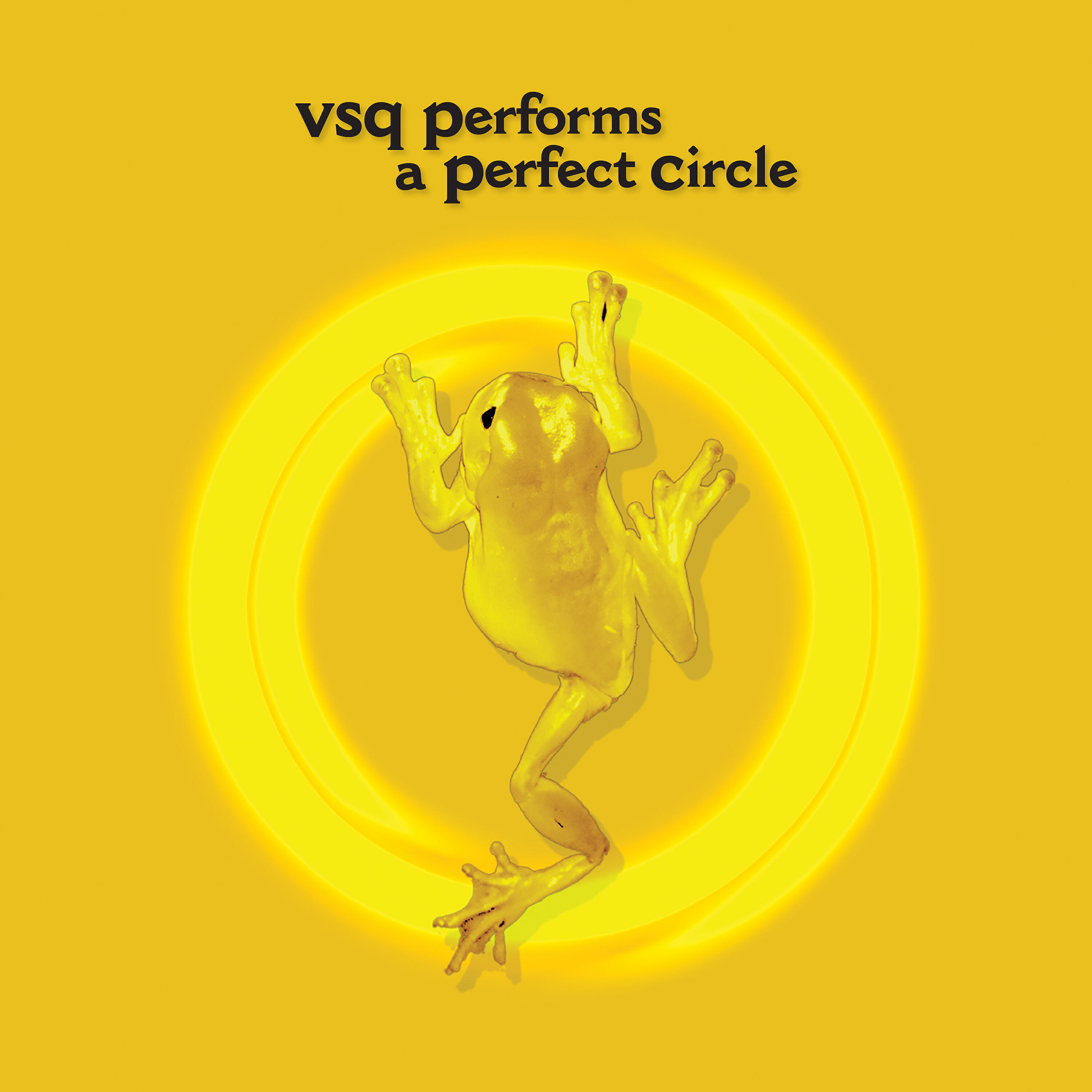 Релиз VSQ Performs A Perfect Circle