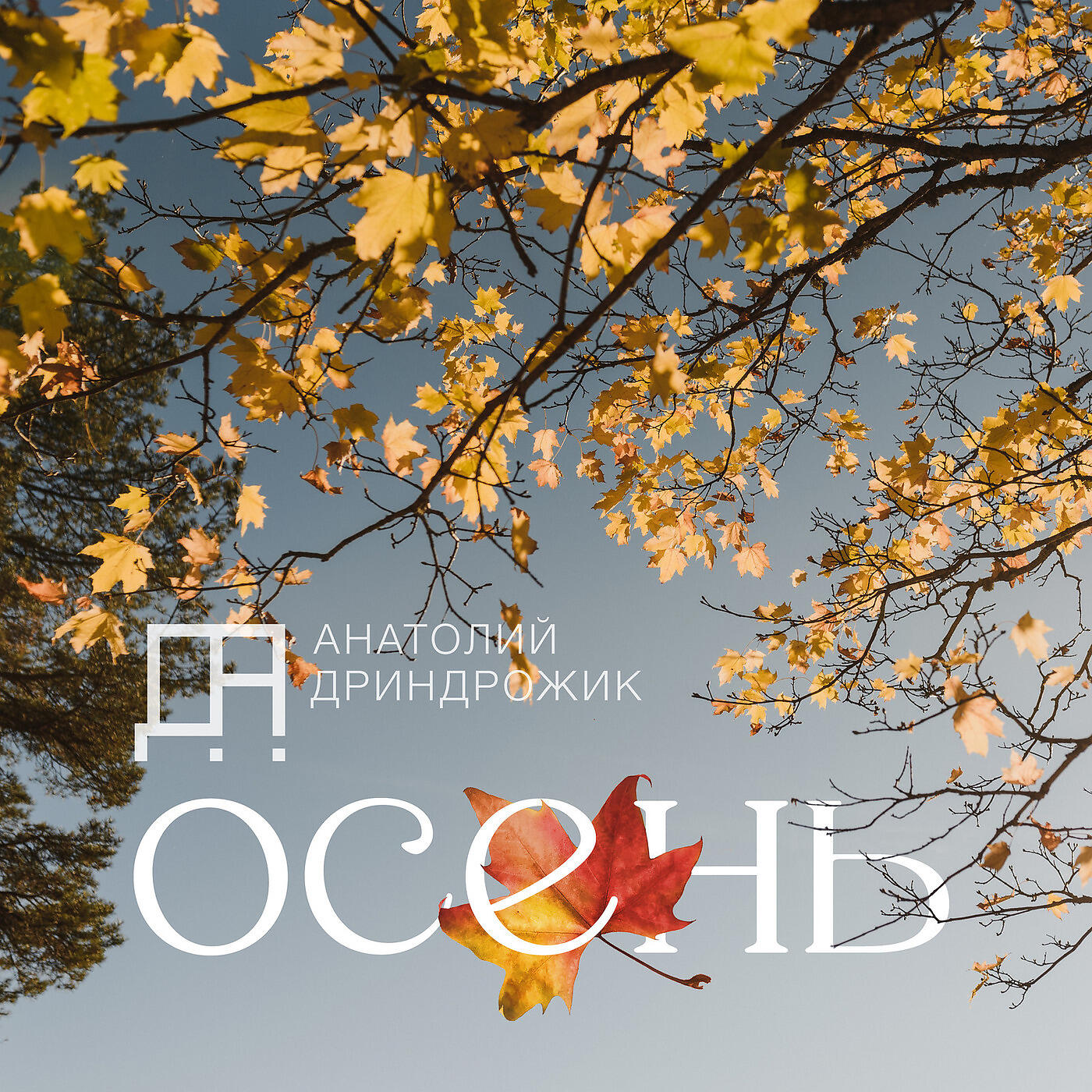 Релиз Осень
