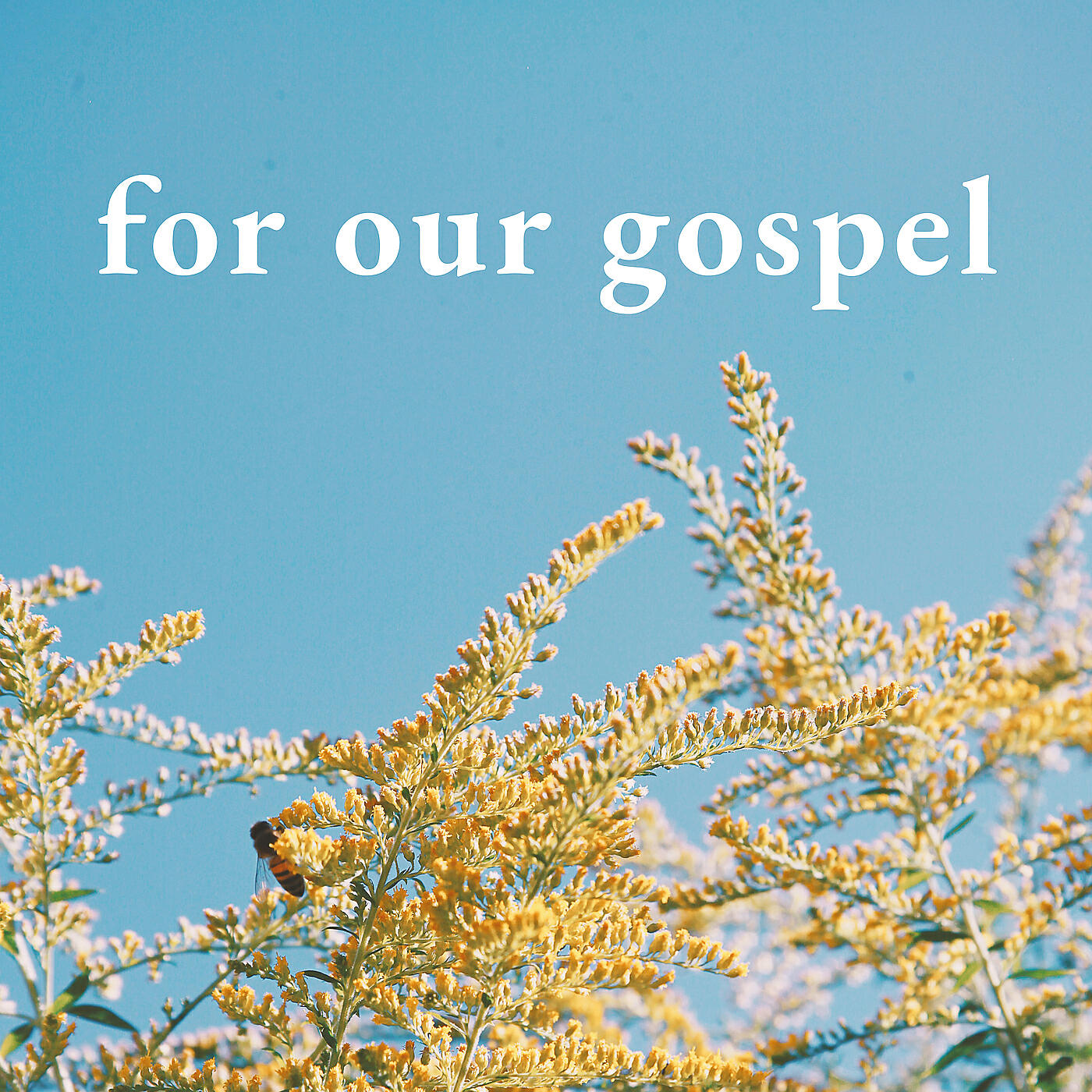 Релиз For Our Gospel