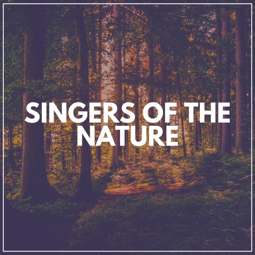 Релиз Singers of the Nature