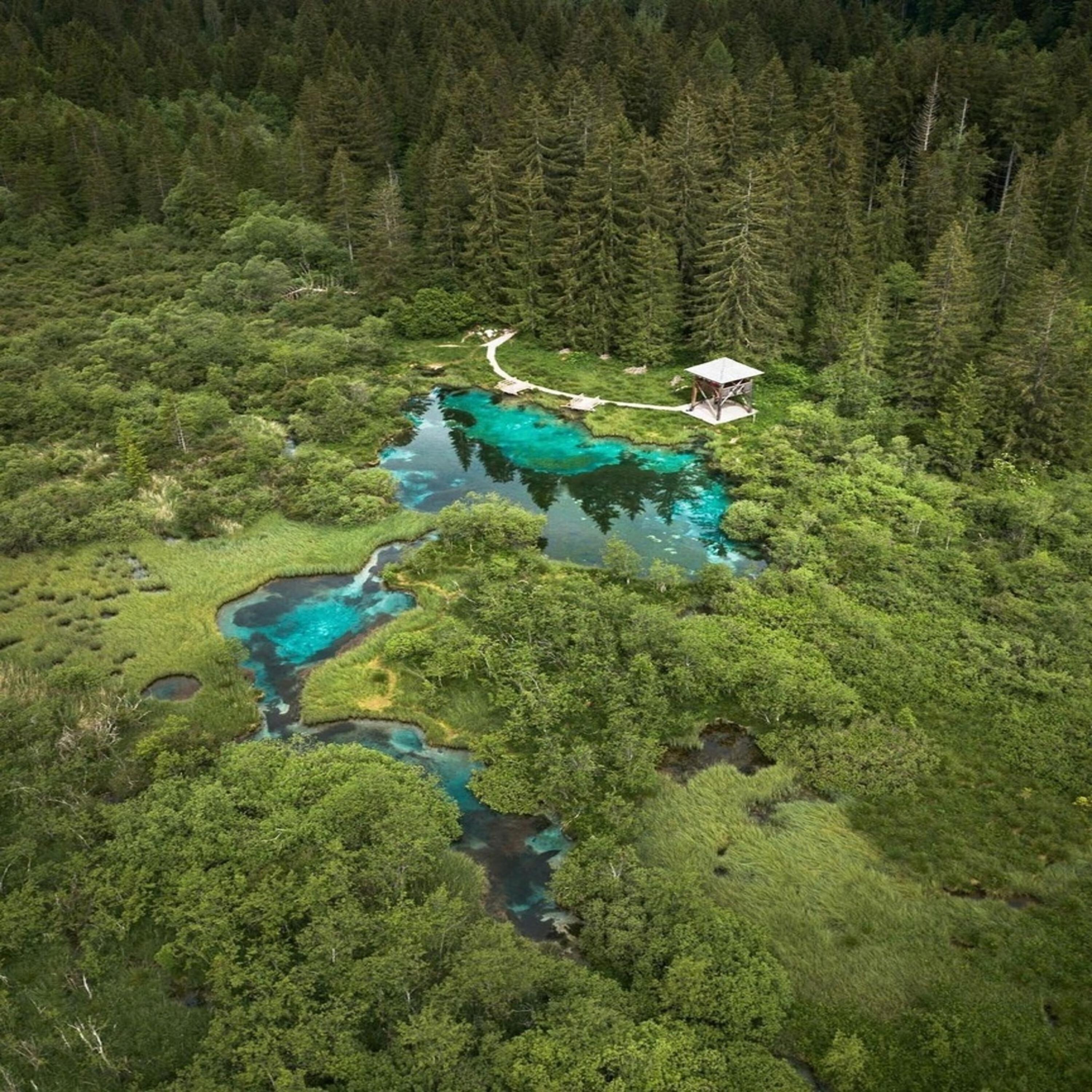 Релиз Aurora