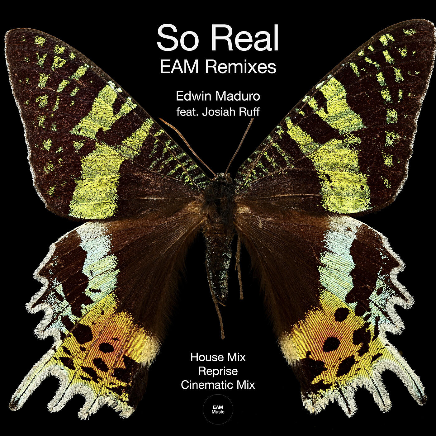 Релиз So Real Eam Remixes
