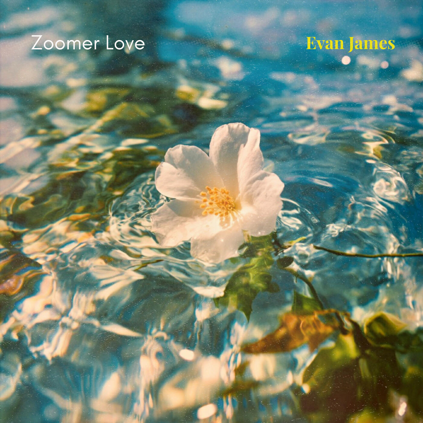 Релиз Zoomer Love