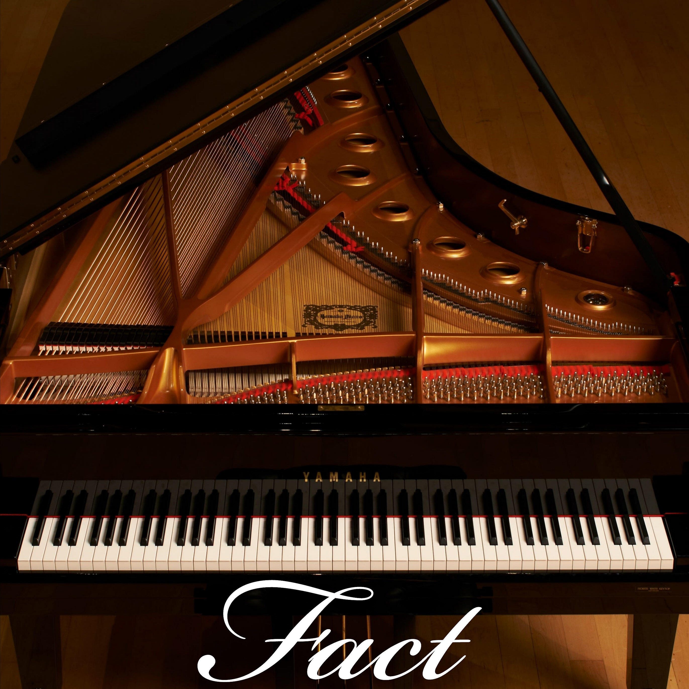 Релиз Fact
