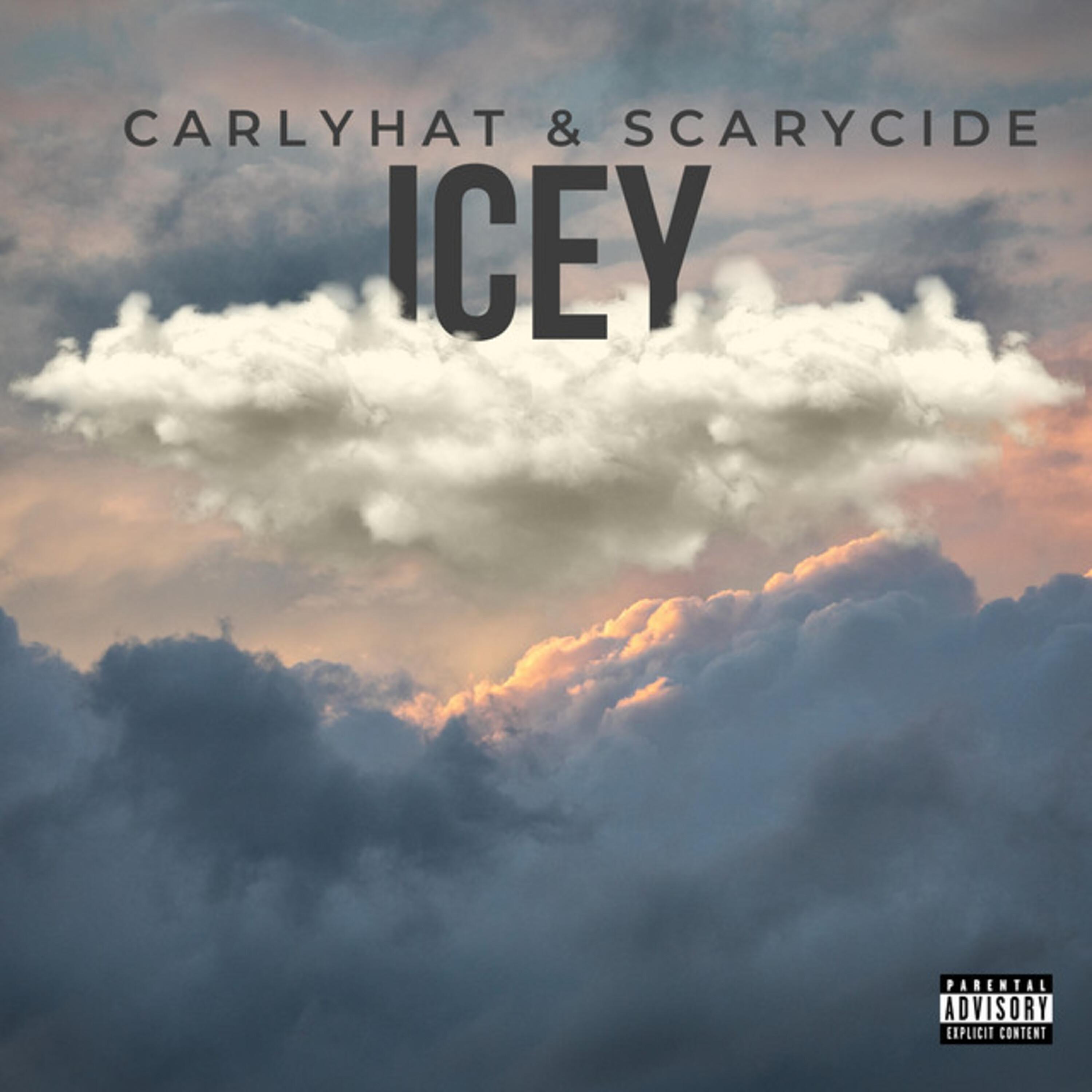 carlyhat