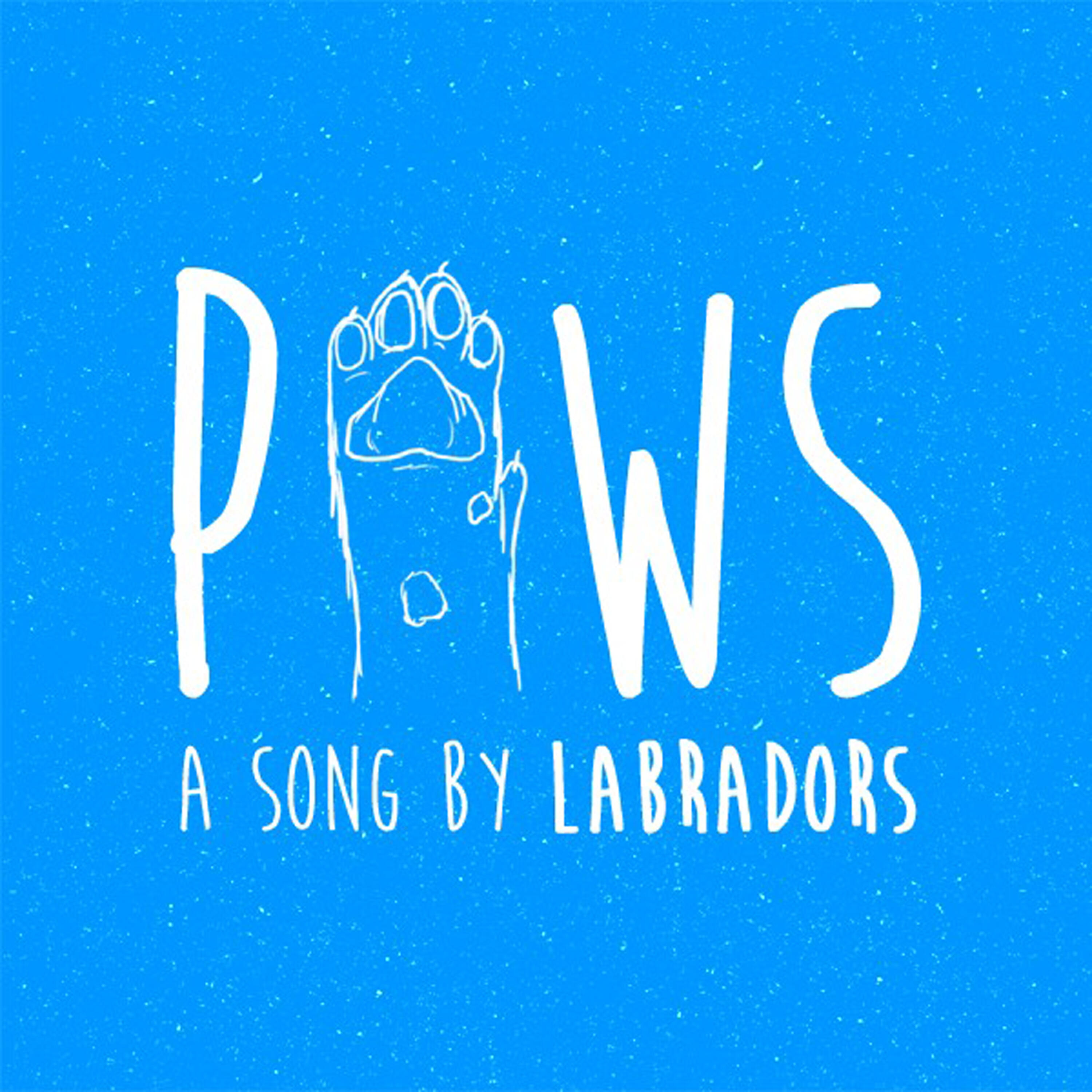 Релиз Paws