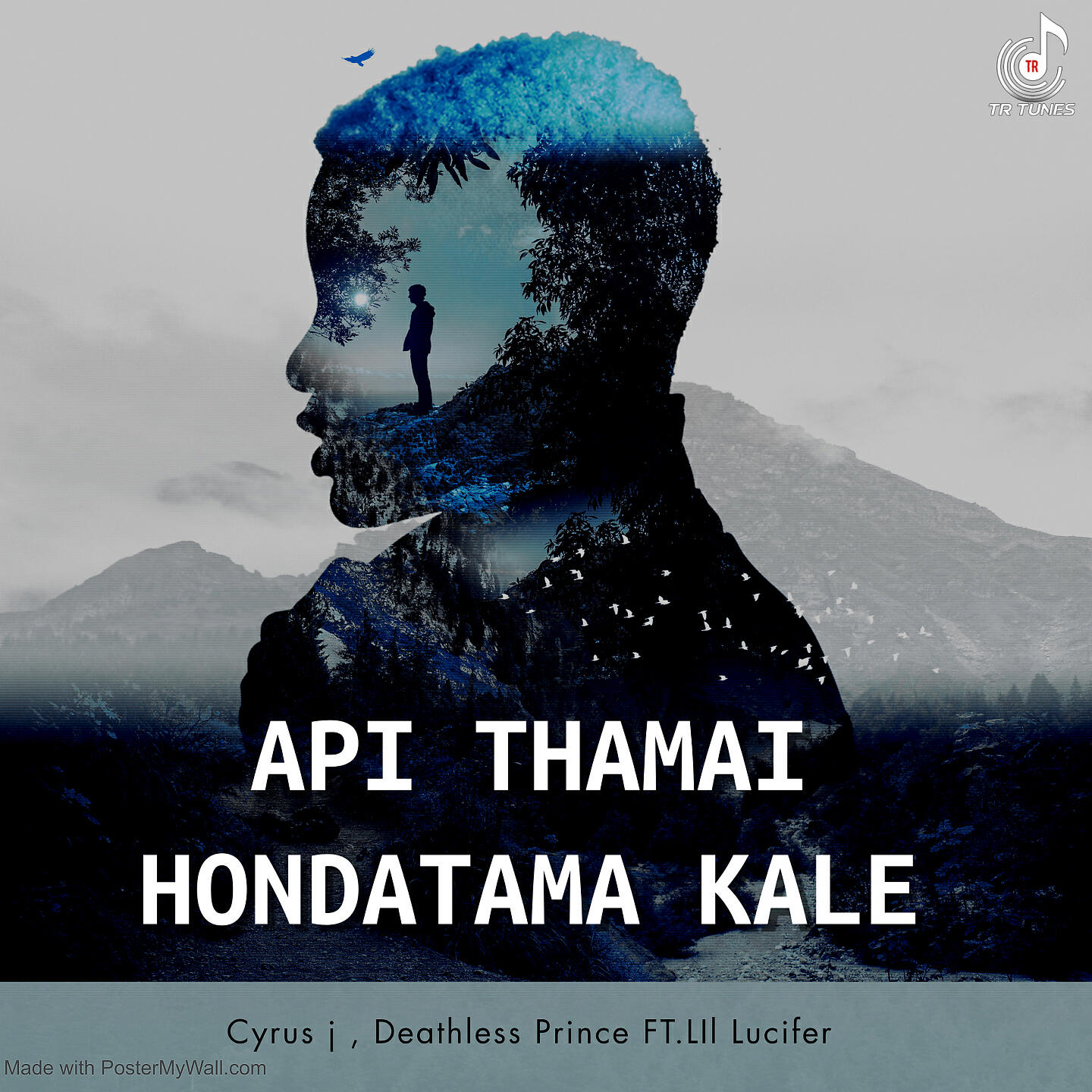 Релиз API THAMAI HONDATAMA KALE
