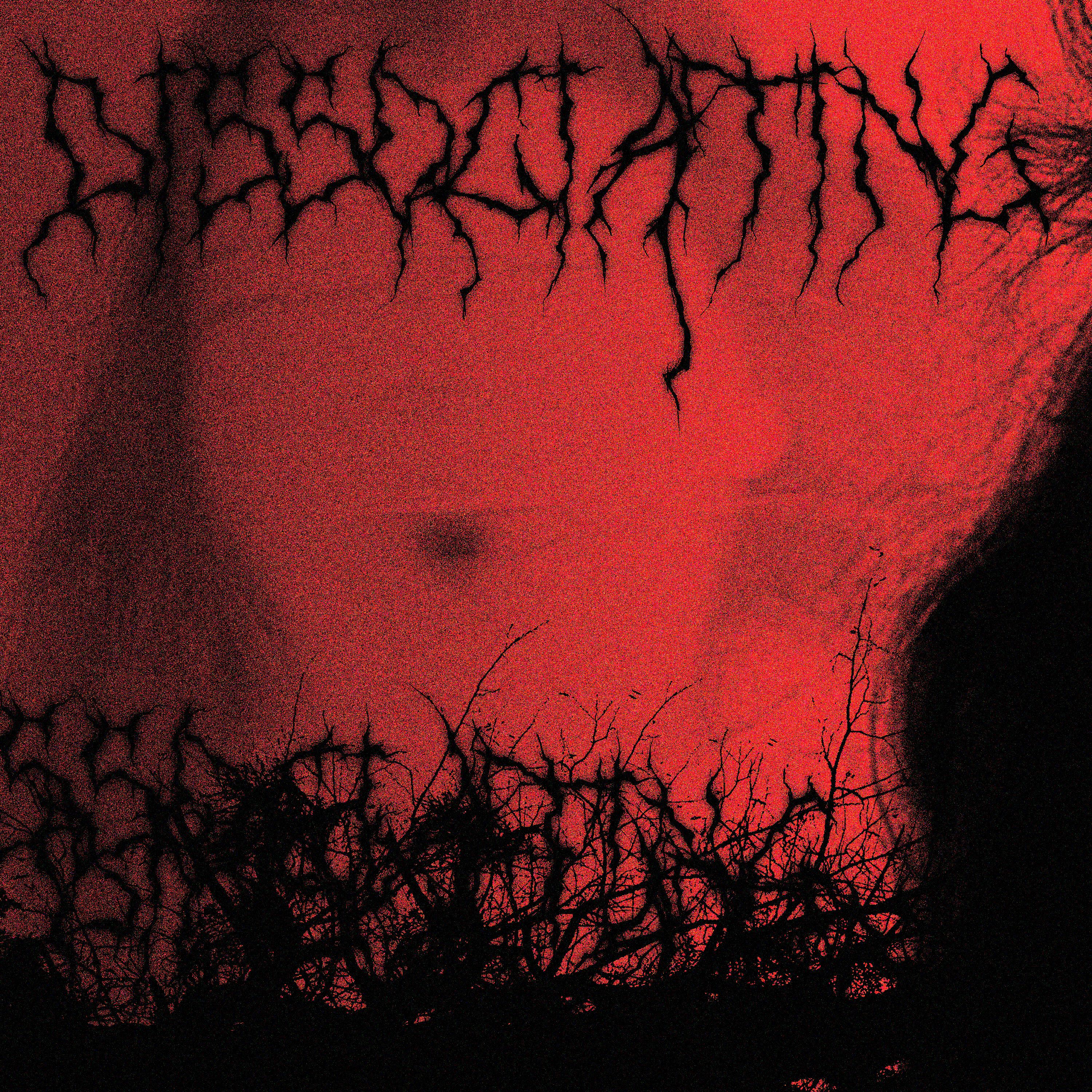 Релиз DISSOCIATING