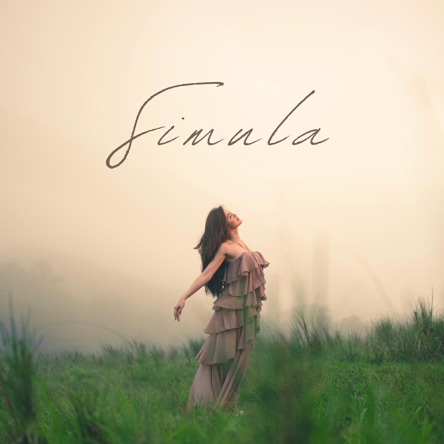 Релиз Simula