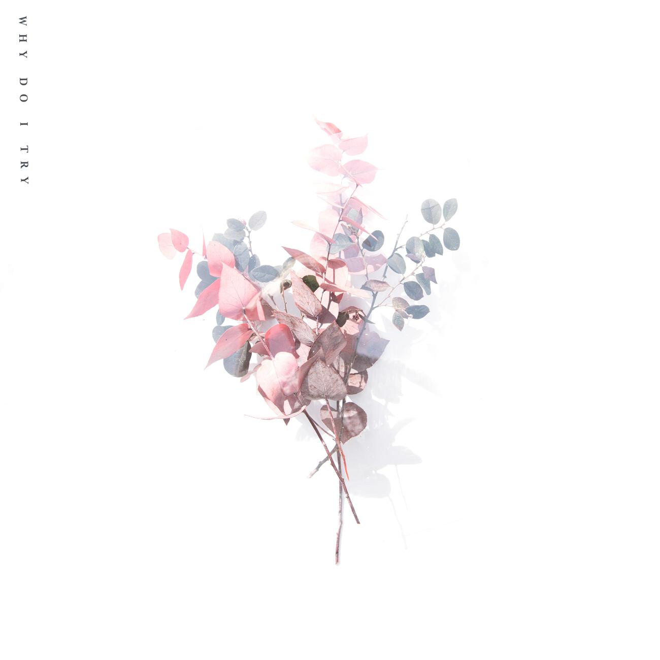 Релиз Why Do I Try