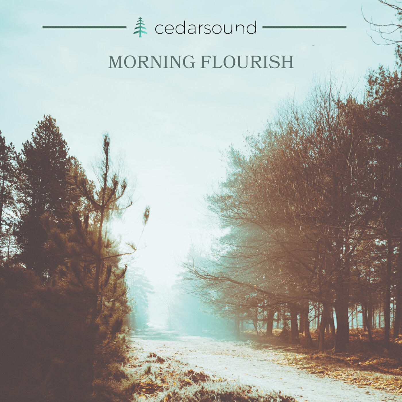 Релиз Morning Flourish