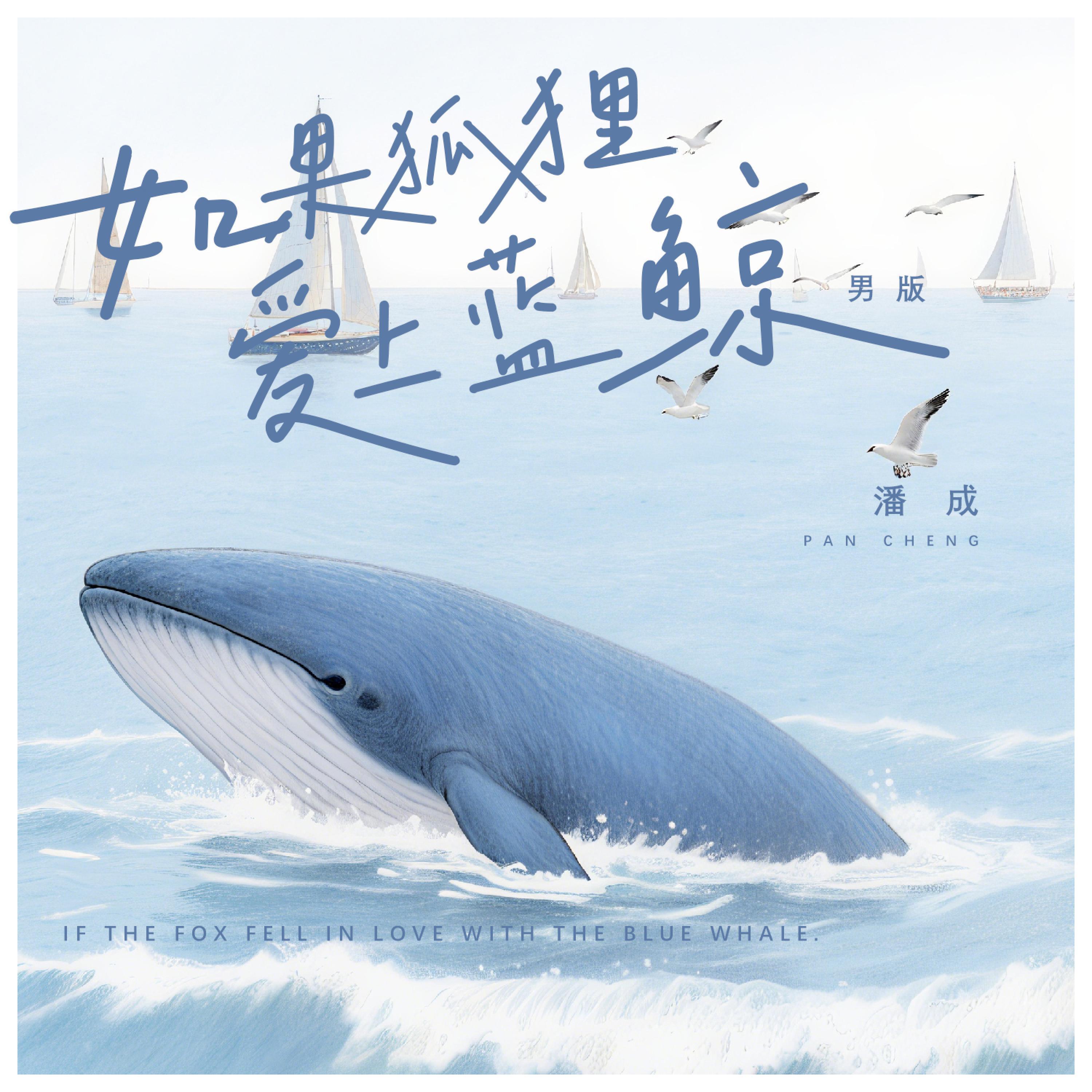 Релиз 如果狐狸爱上蓝鲸