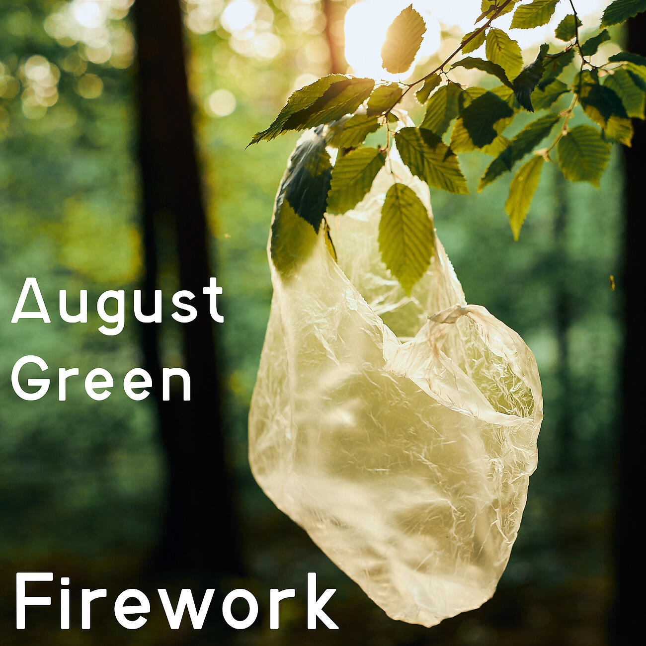 Релиз Firework