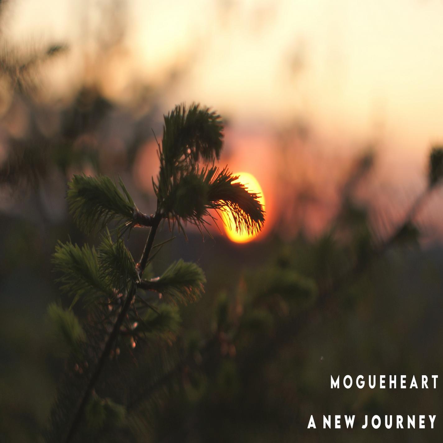 Релиз A New Journey