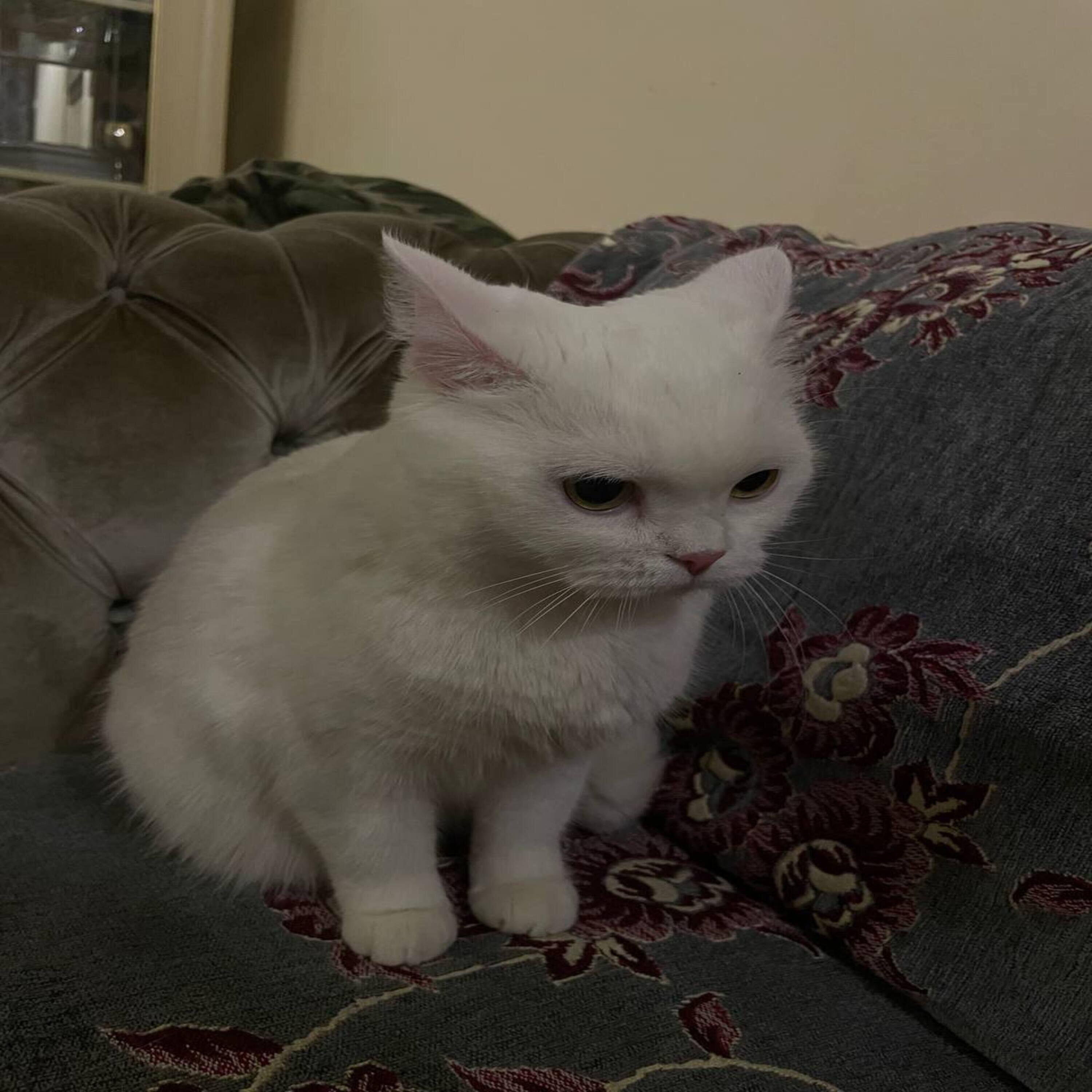 Релиз Сны