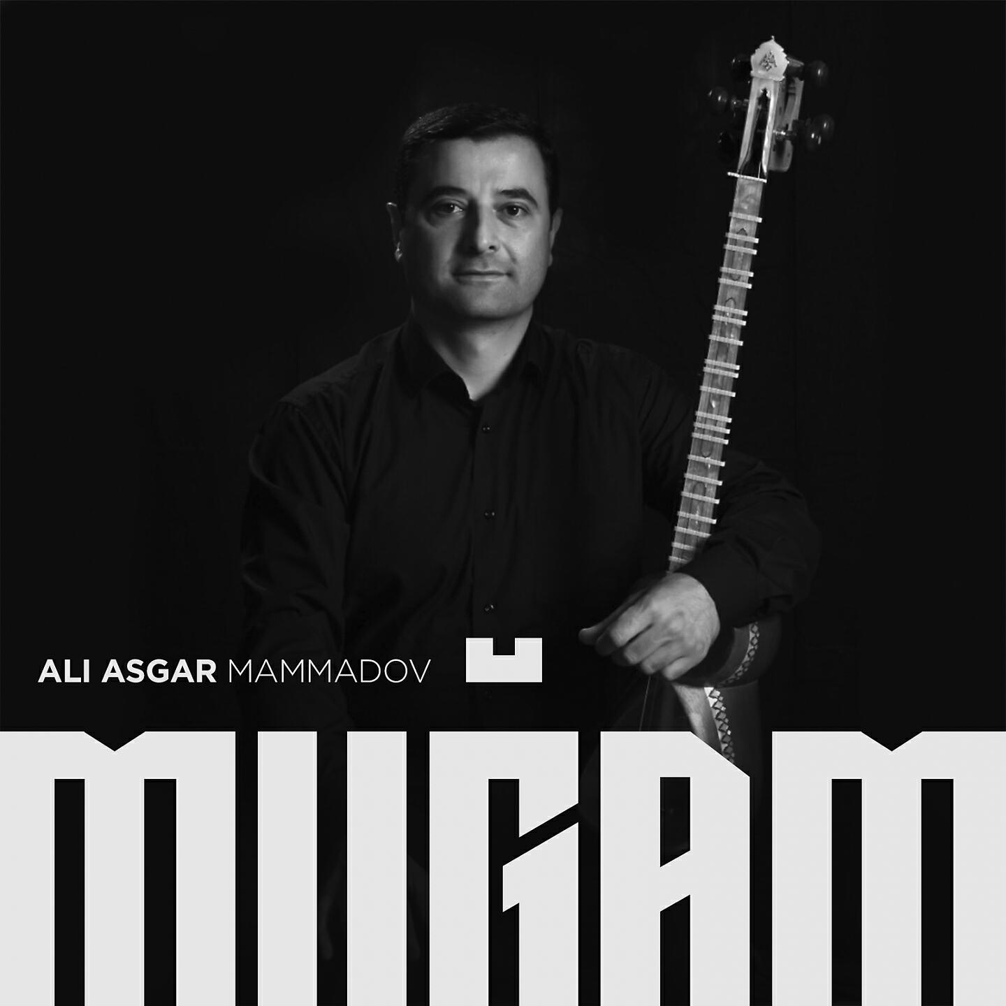 Релиз Muğam