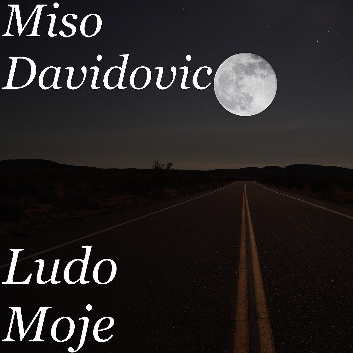 Релиз Ludo Moje