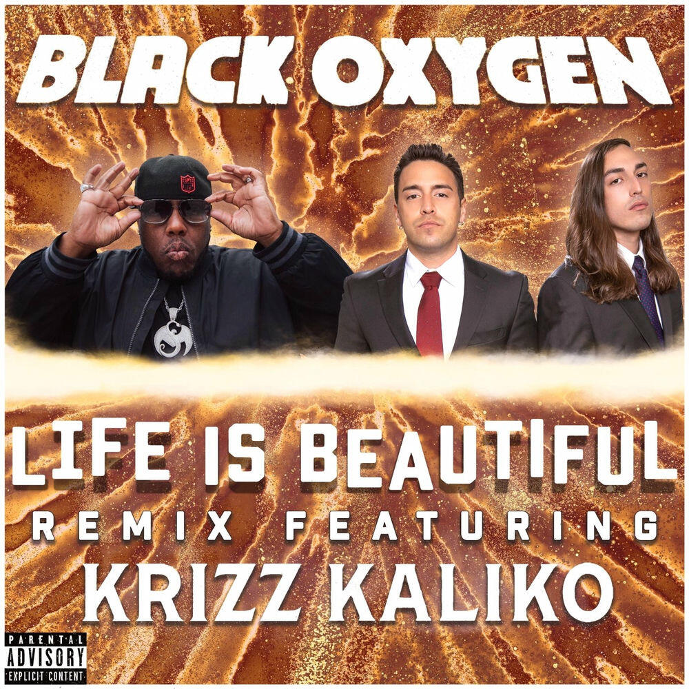 Релиз Life Is Beautiful (Remix)