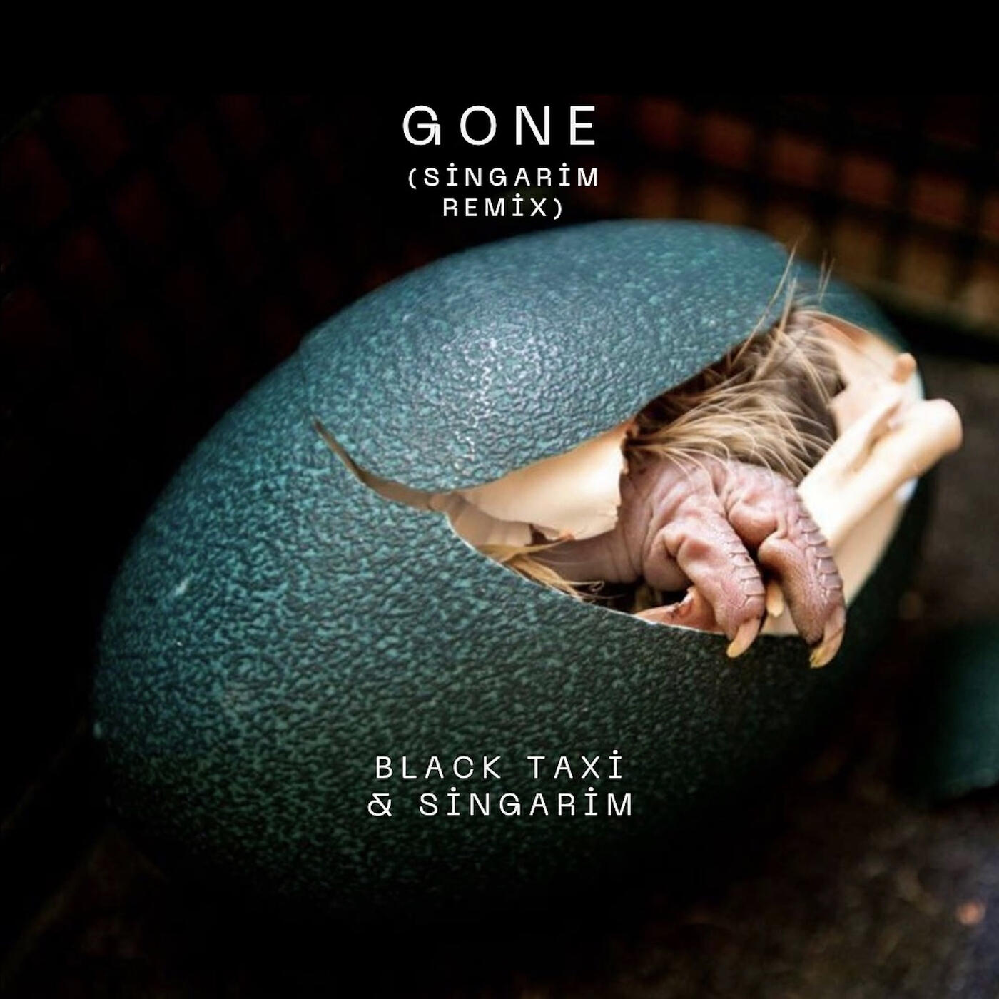 Релиз Gone (Singarim Remix)