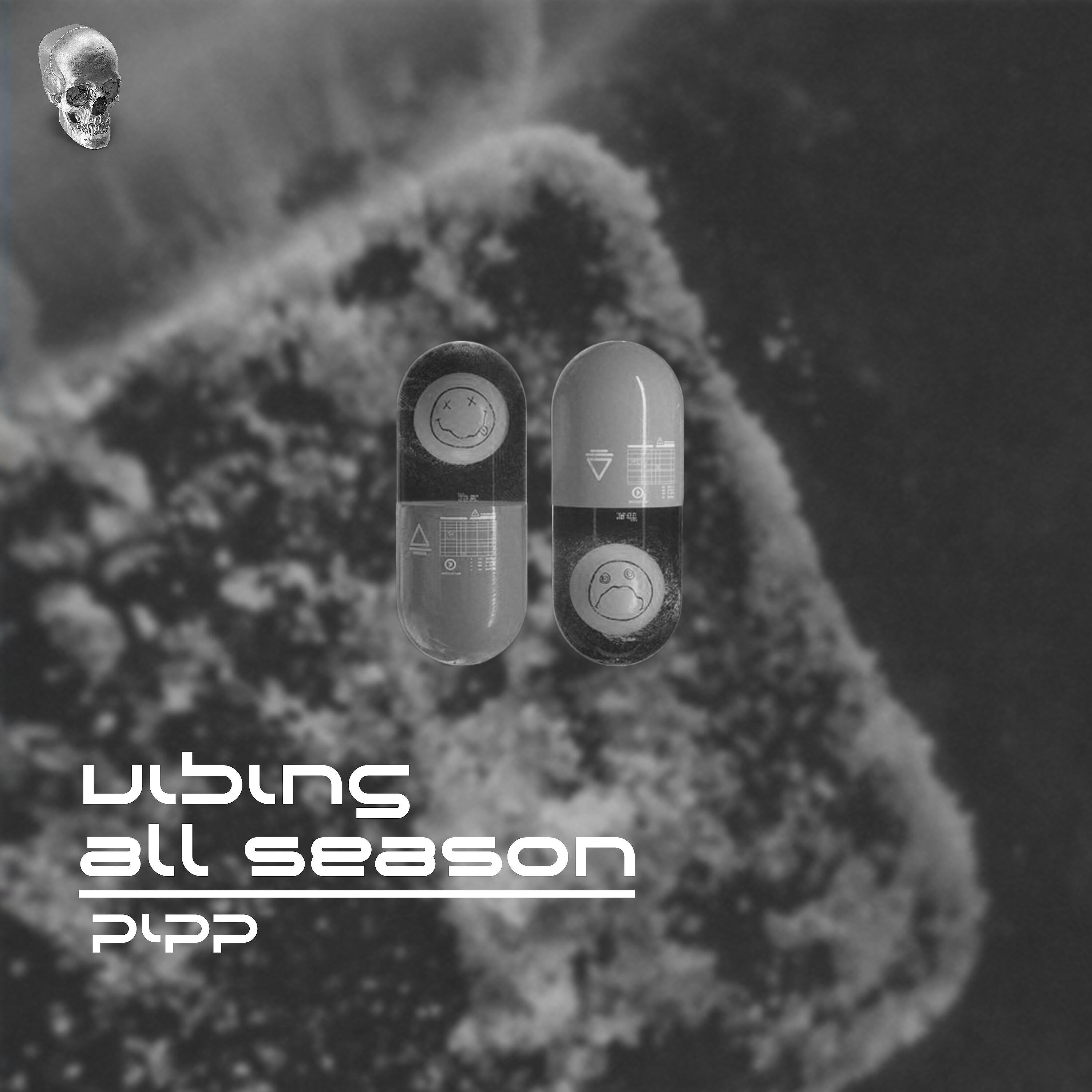 Релиз Vibing All Season